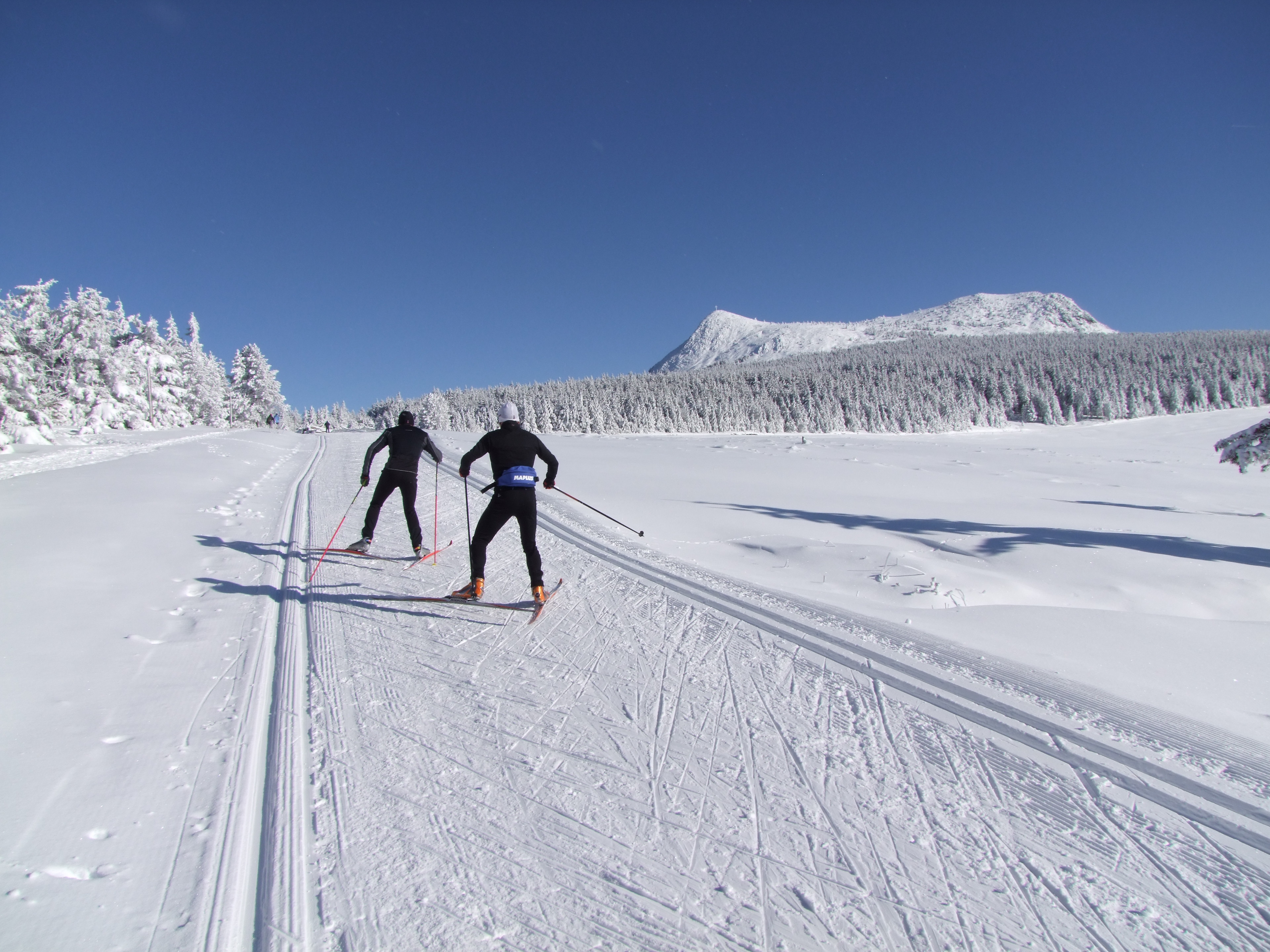 ski de fond ski de fond