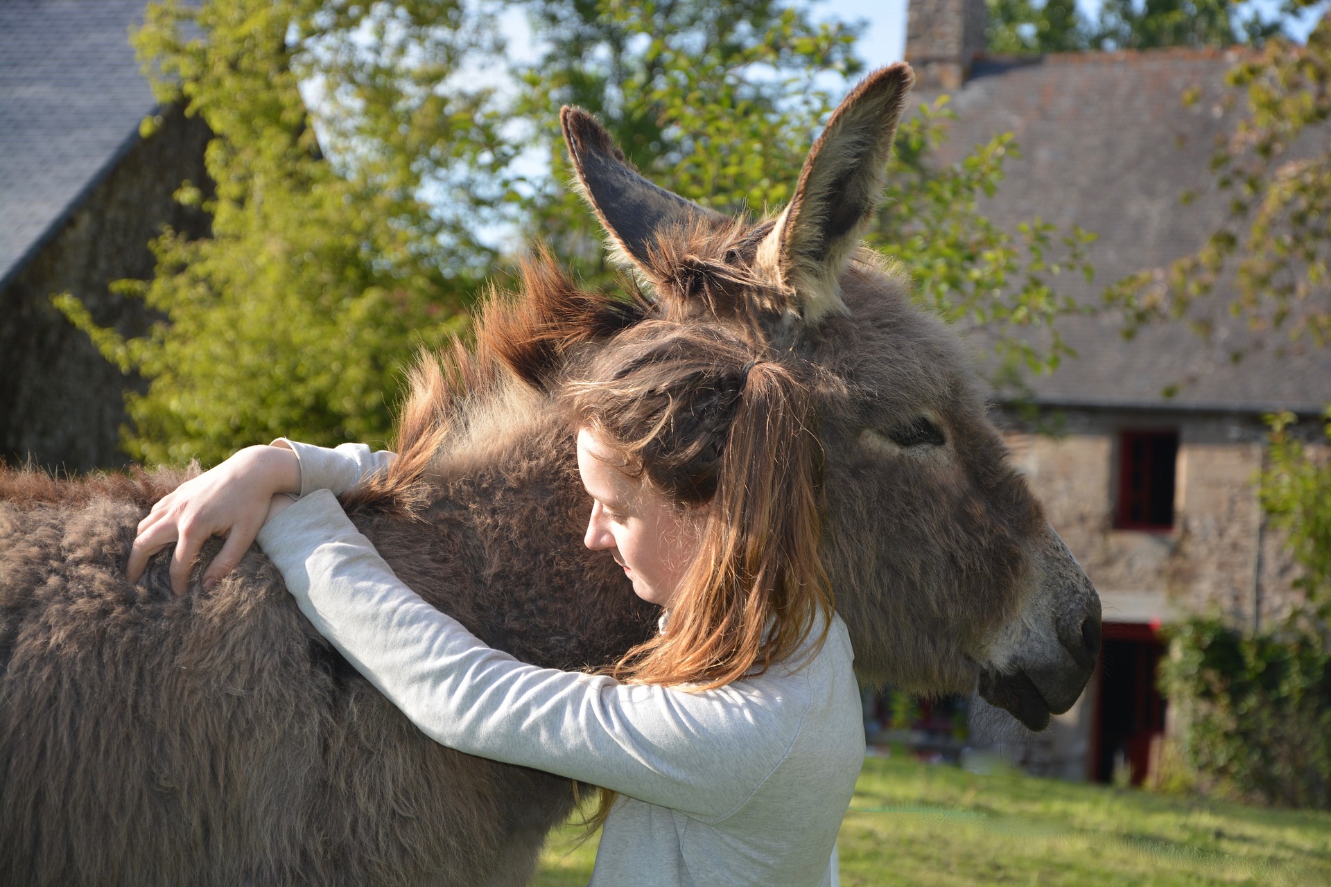 Bionheur en Herbe Bionheur en Herbe