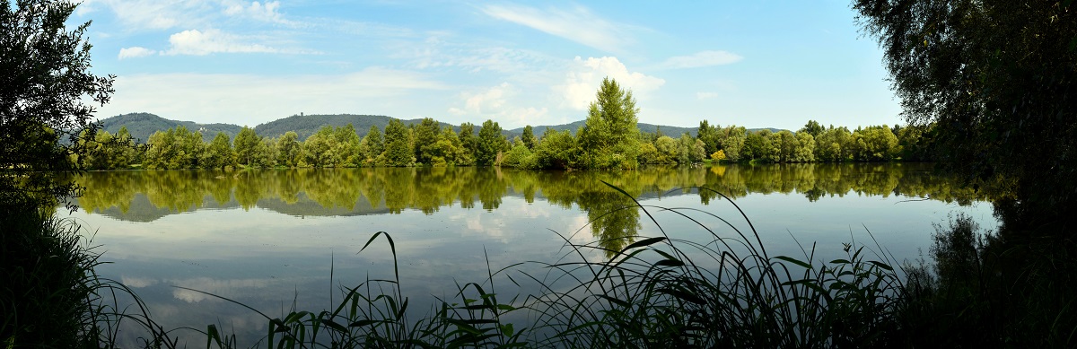 Vue pano des étangs Vue pano des étangs