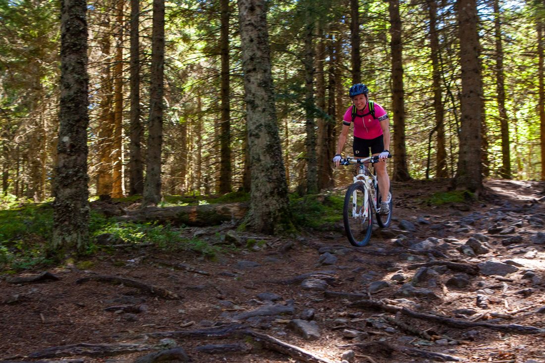 VTT VTT