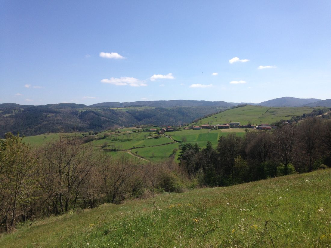Paysage Paysage