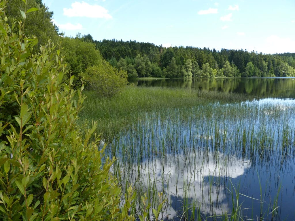 Lac de Malaguet Lac de Malaguet