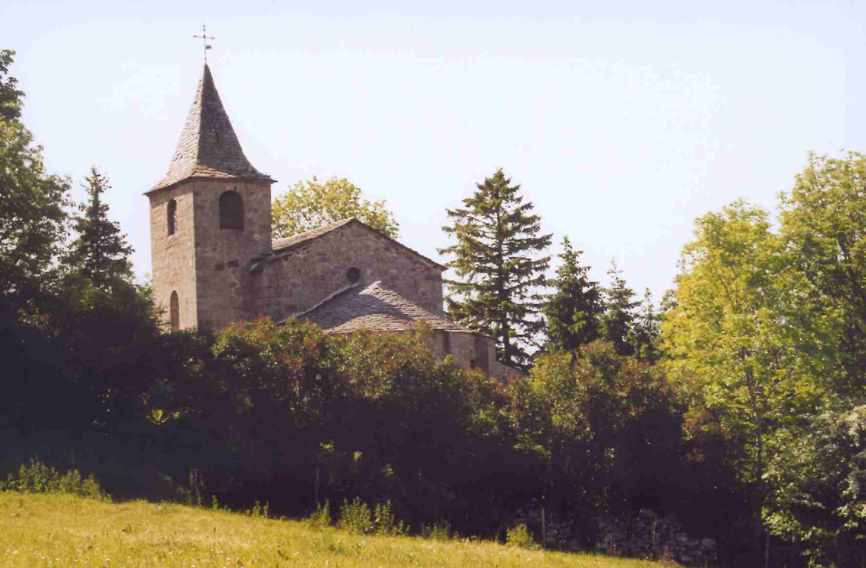 9345274.jpg