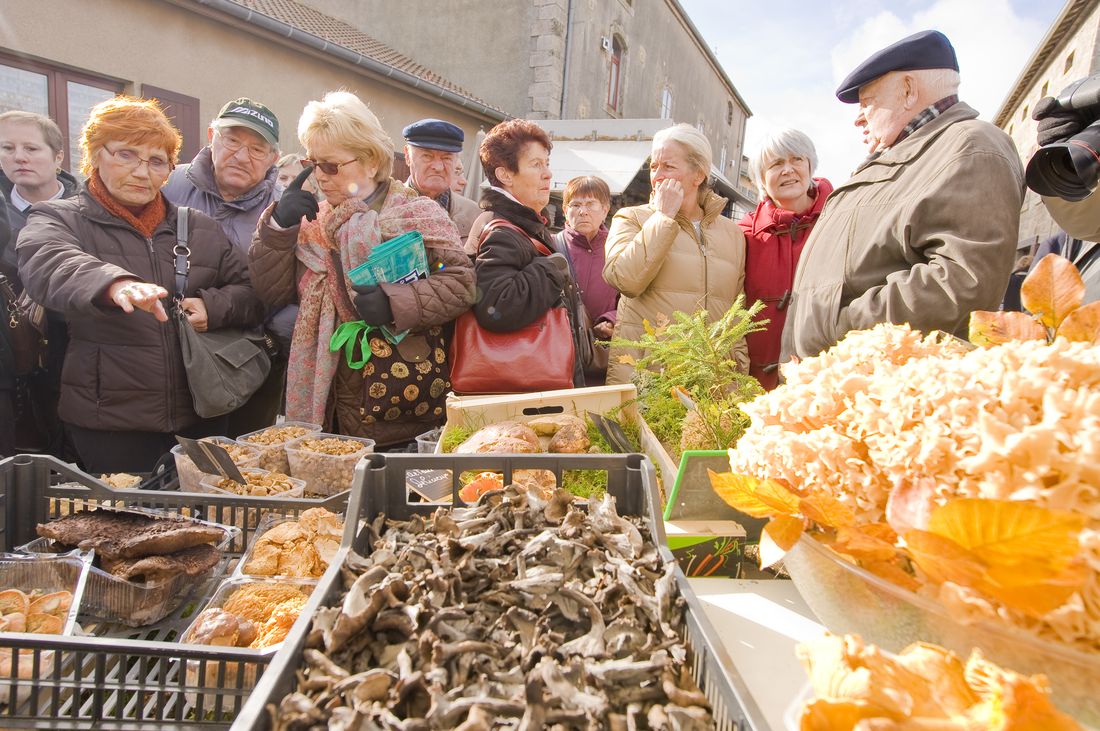 Fête des champignons Fête des champignons