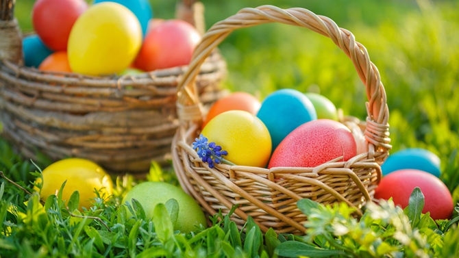chasse aux oeufs chasse aux oeufs