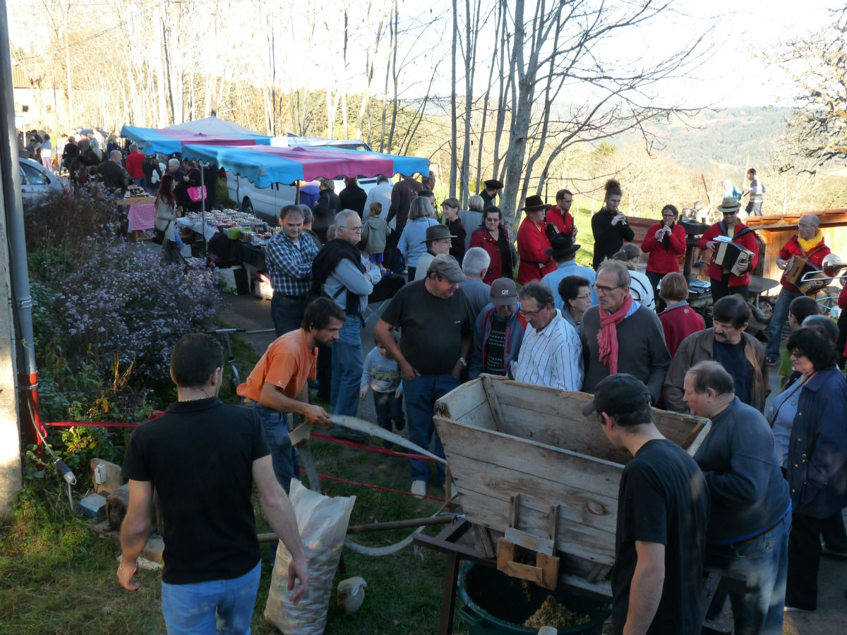 EVE_Fête du cidre_public EVE_Fête du cidre_public