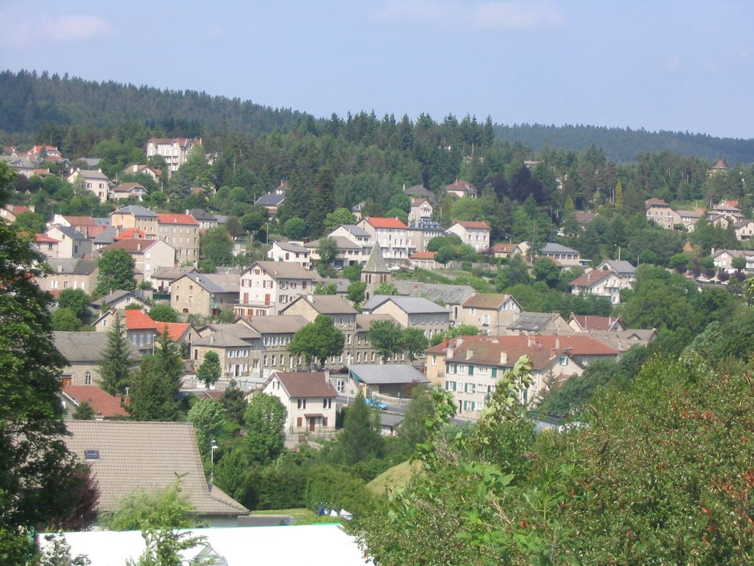 9615100.jpg