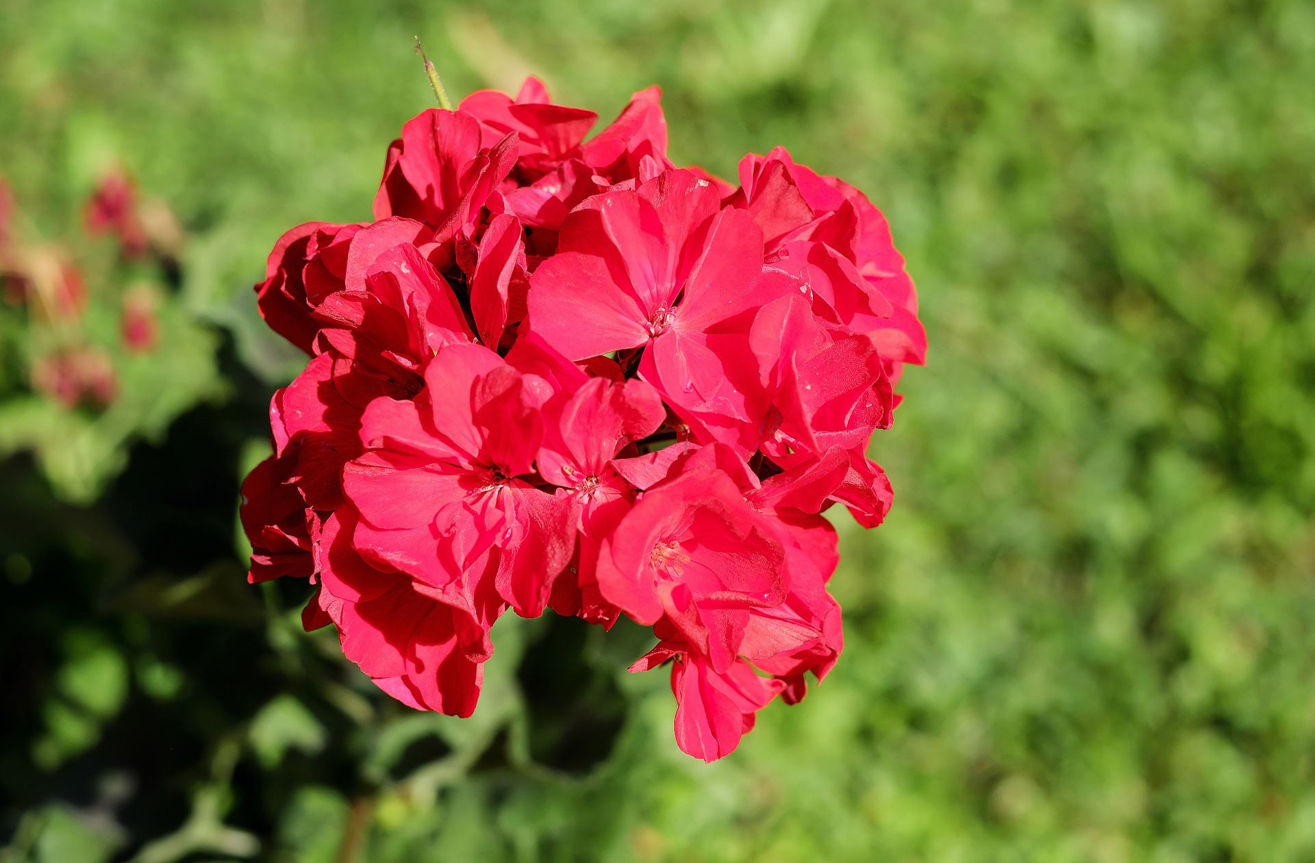 pixabay-web pixabay-web