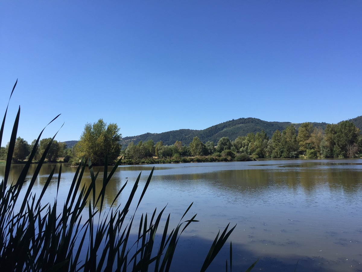 Etangs Etangs