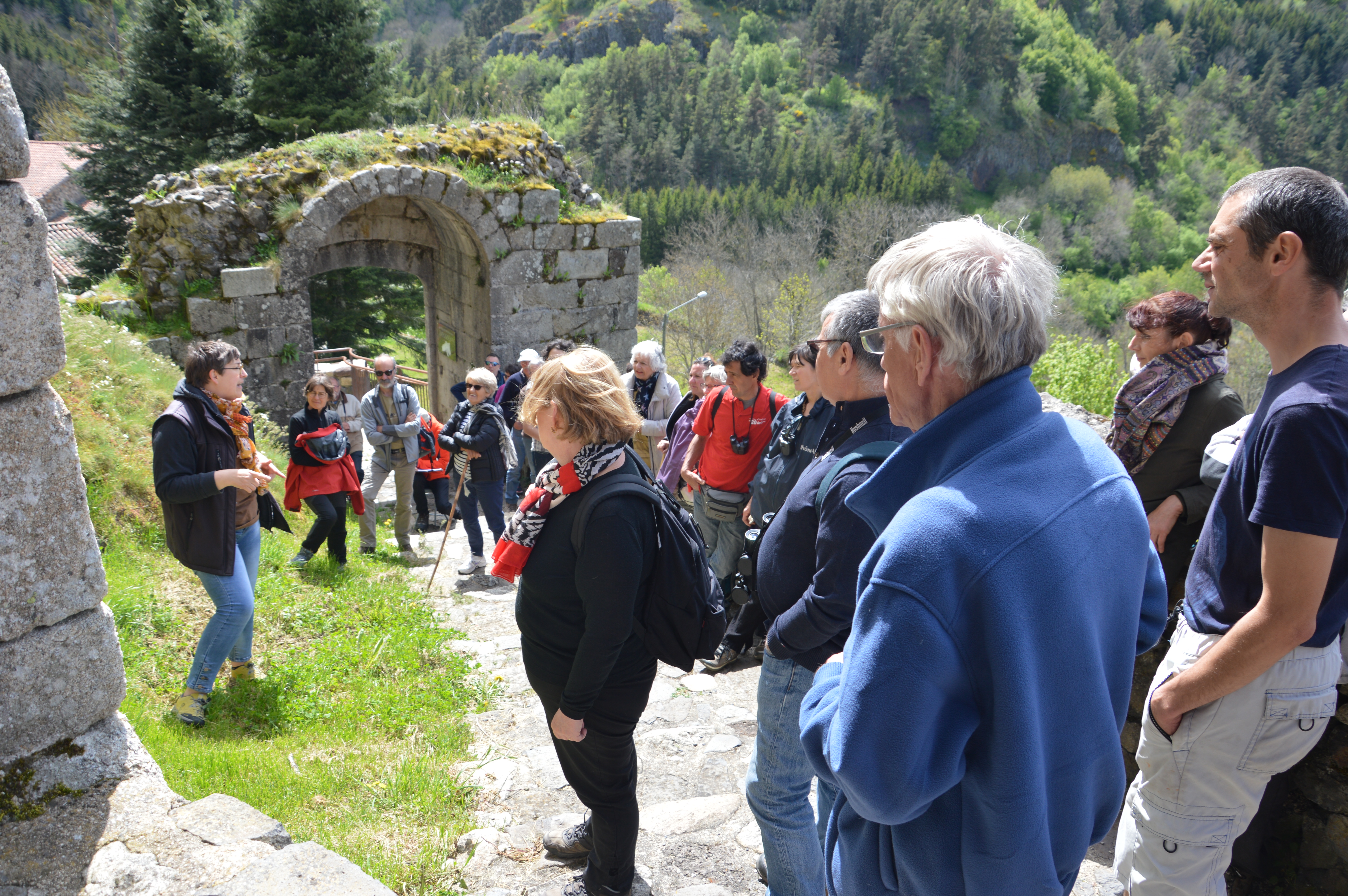 Visite
