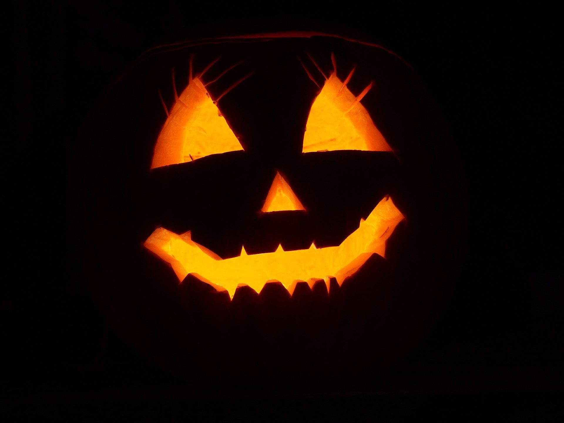 eve_halloween_monistrol_pixabay eve_halloween_monistrol_pixabay