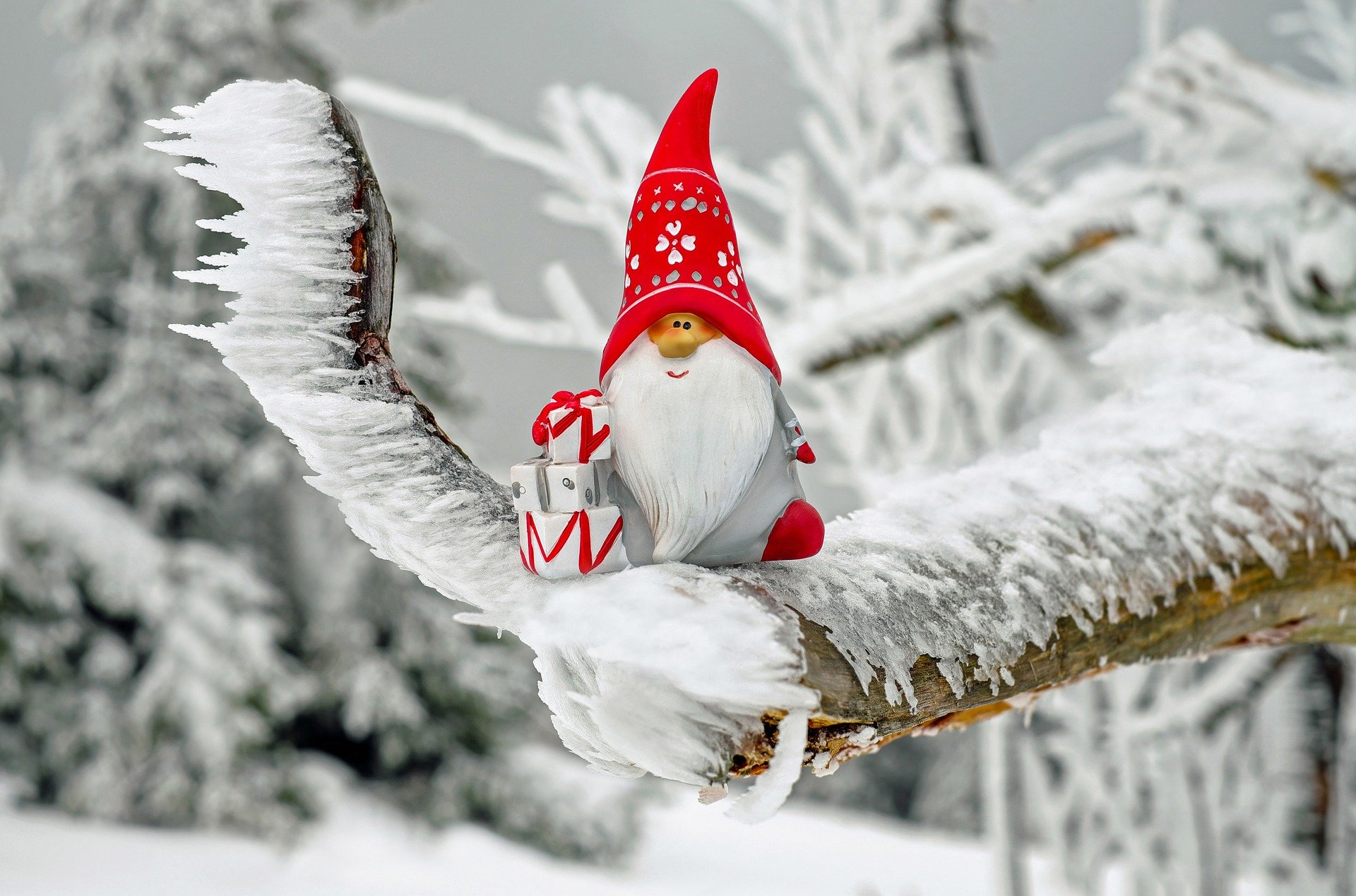 Noël Noël
