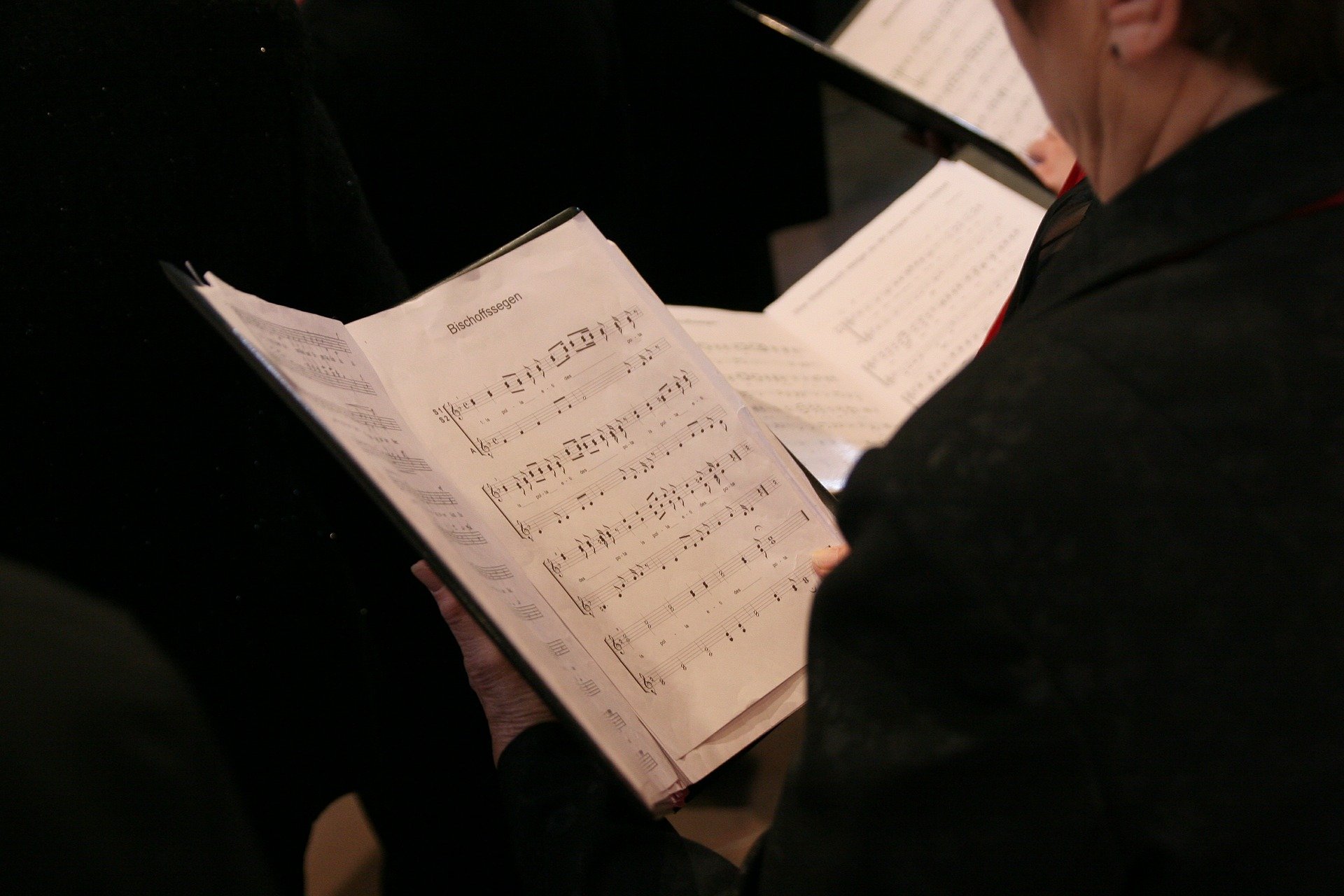 Concert avec la chorale chœur de l'ondaine & Roxane Macaudière
