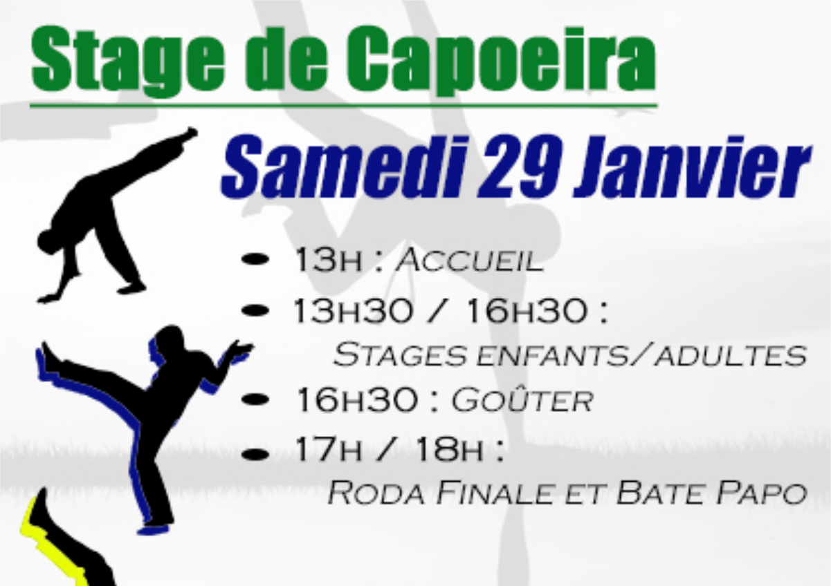 EVE_StageCapoeira EVE_StageCapoeira