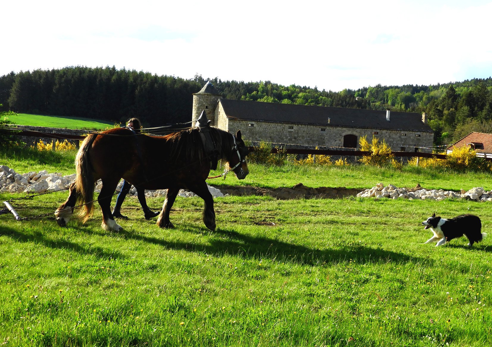 ferme ferme