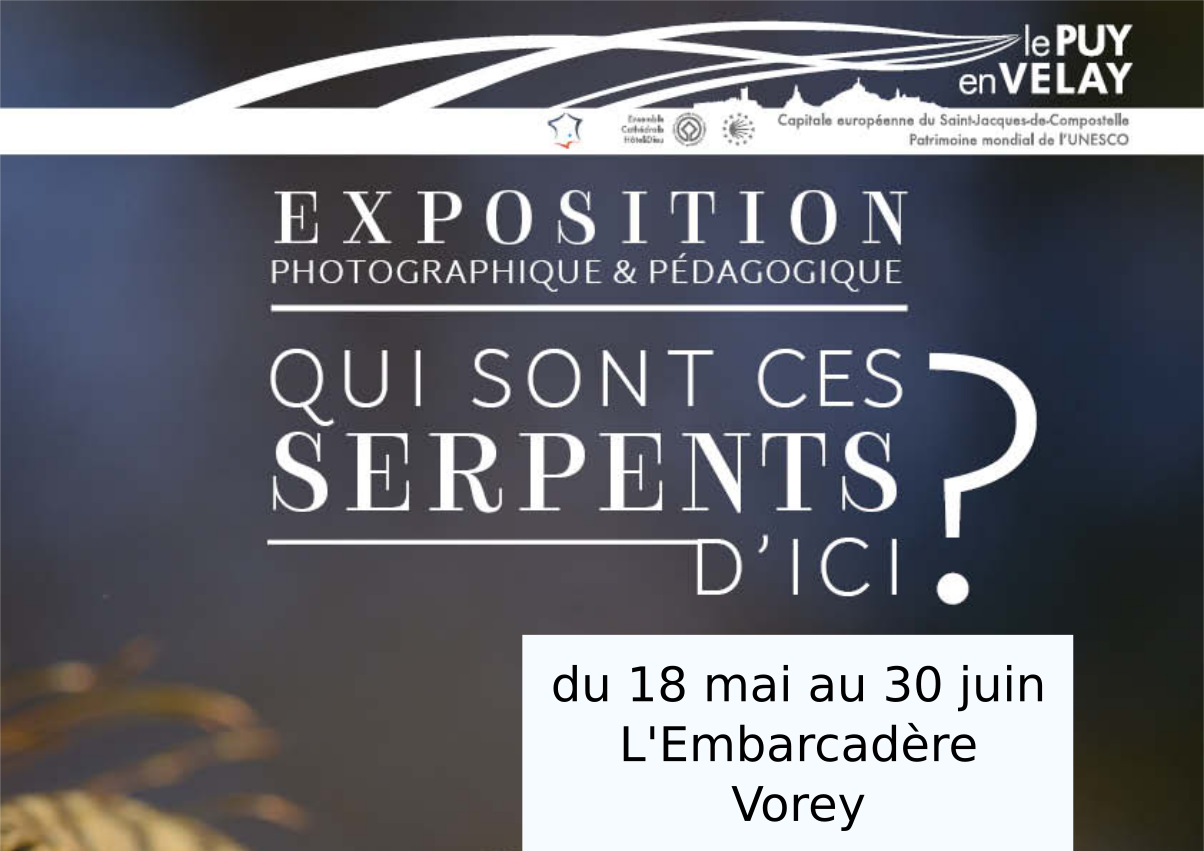 EVE_ExpoSerpents