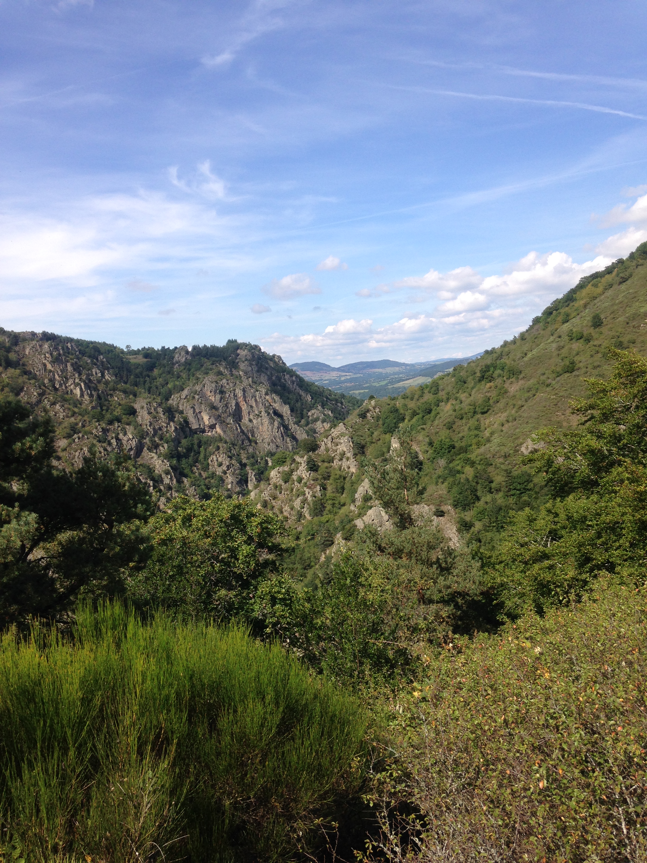 Paysage Paysage