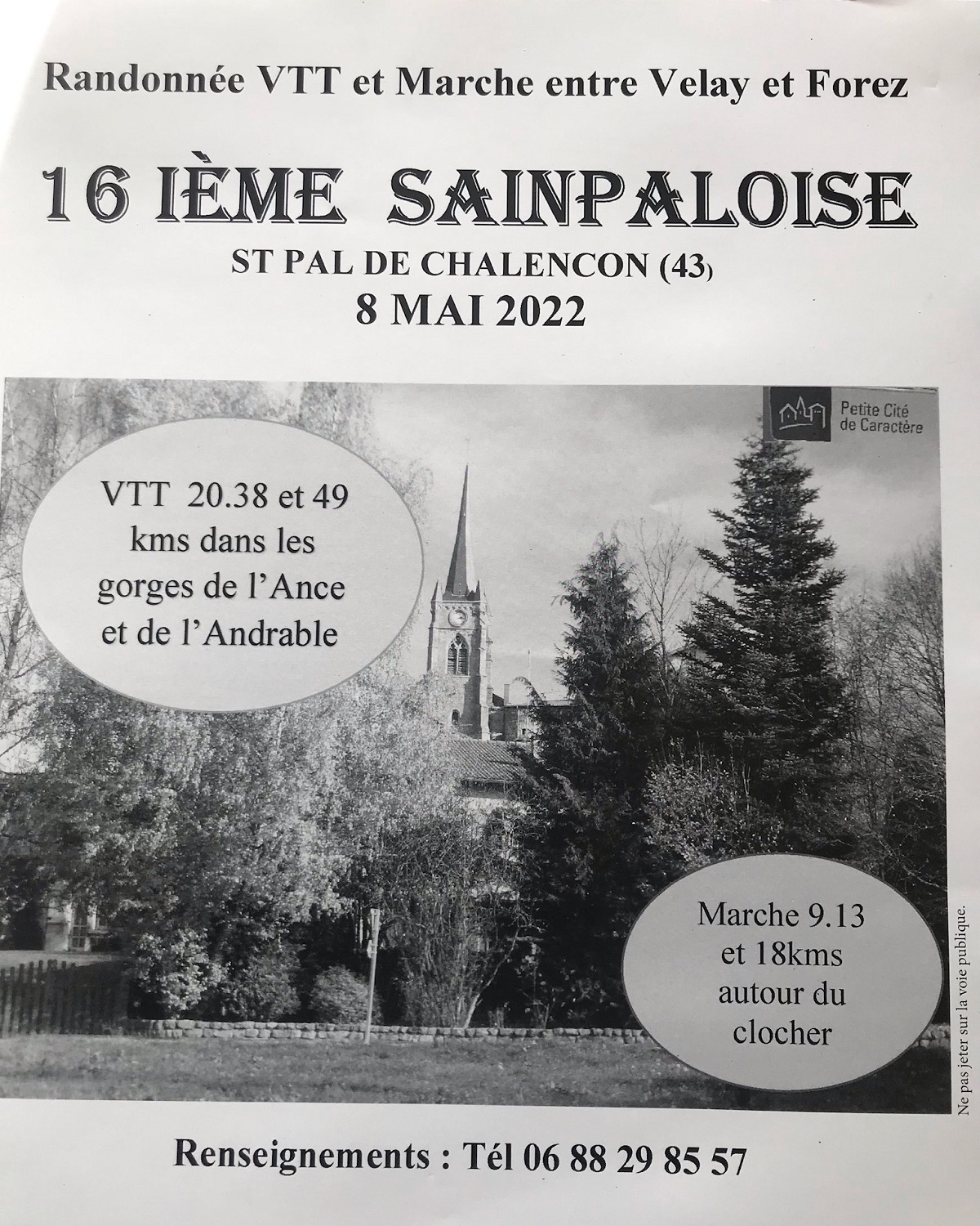 EVE_saintpaloise EVE_saintpaloise