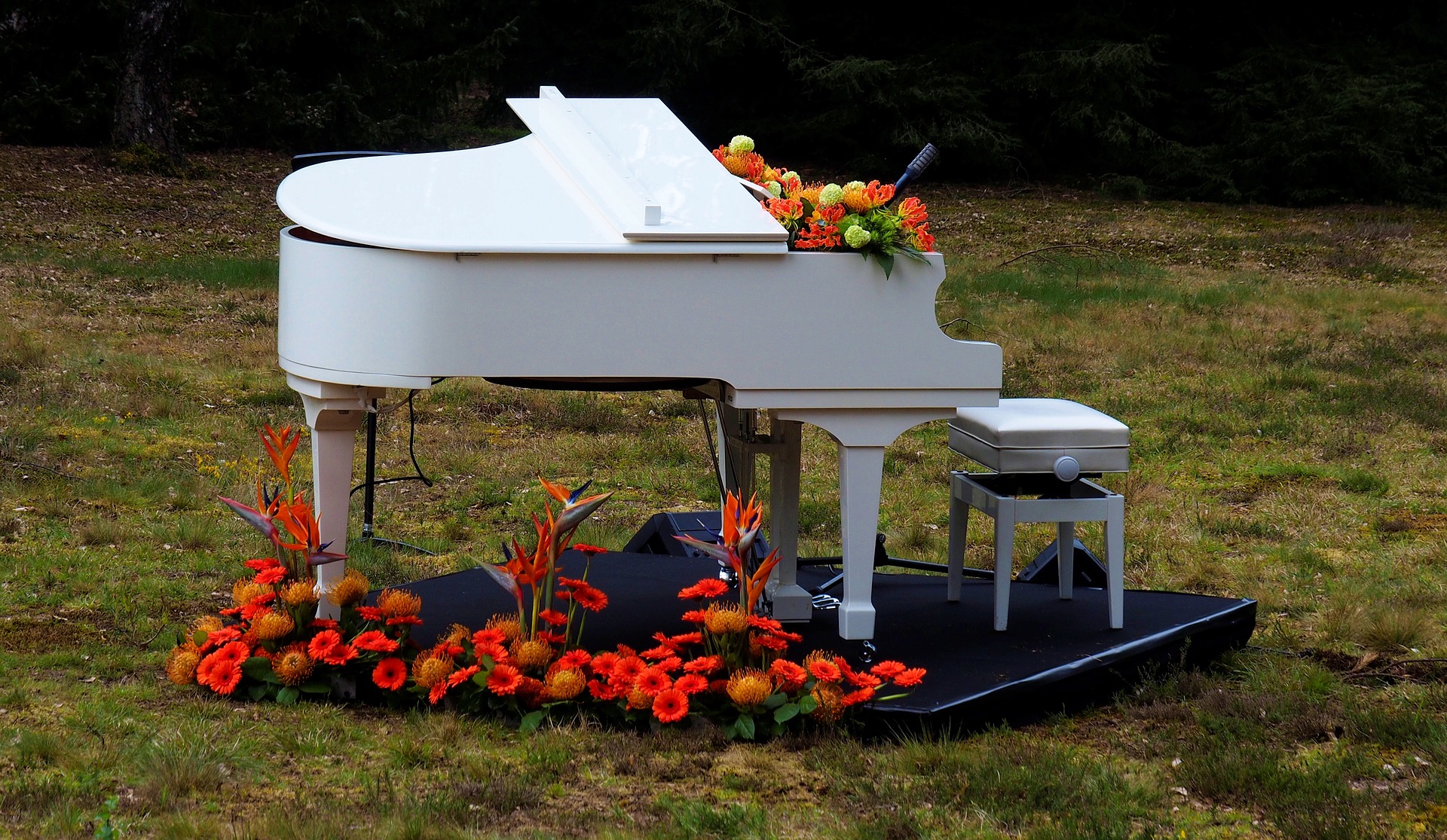 Piano