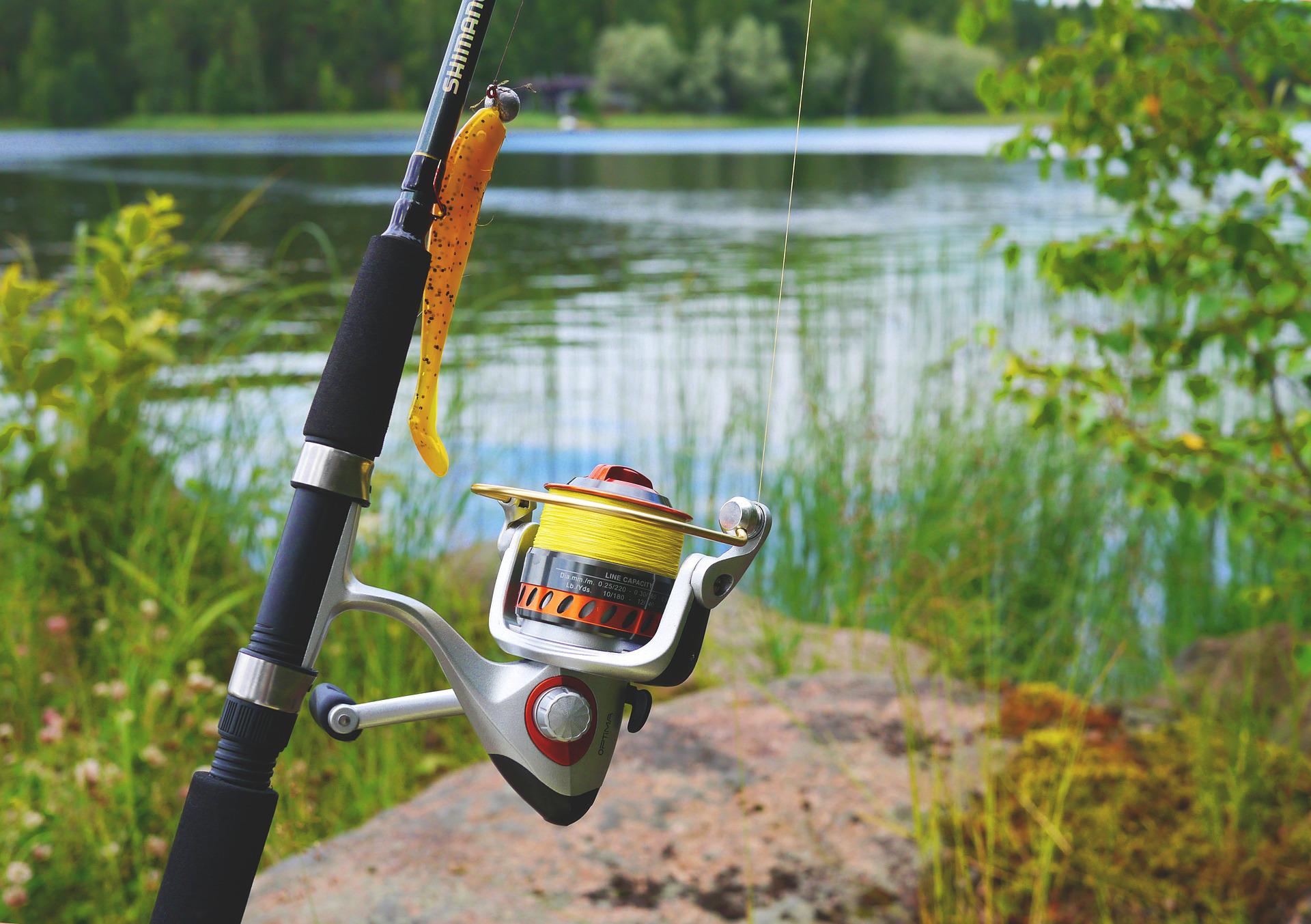 pêche_pixabay pêche_pixabay