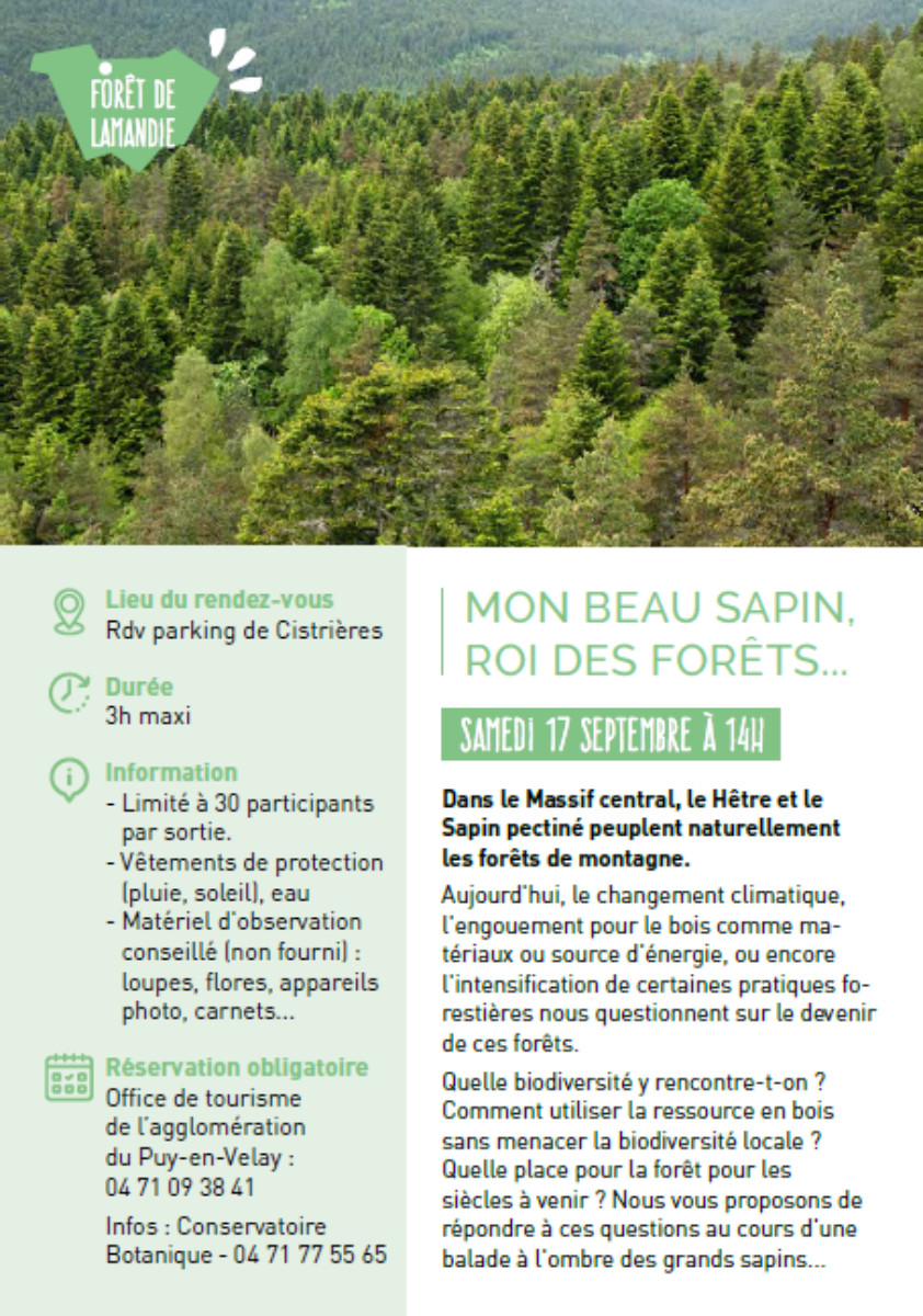 EVE_Sortie Nature : mon beau sapin-descriptif EVE_Sortie Nature : mon beau sapin-descriptif