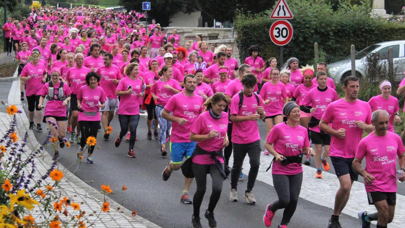 Marche Rose