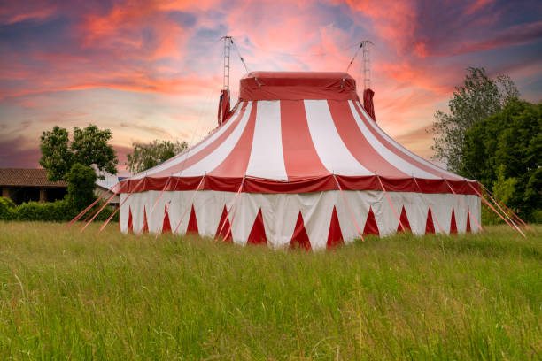 Cirque Cirque