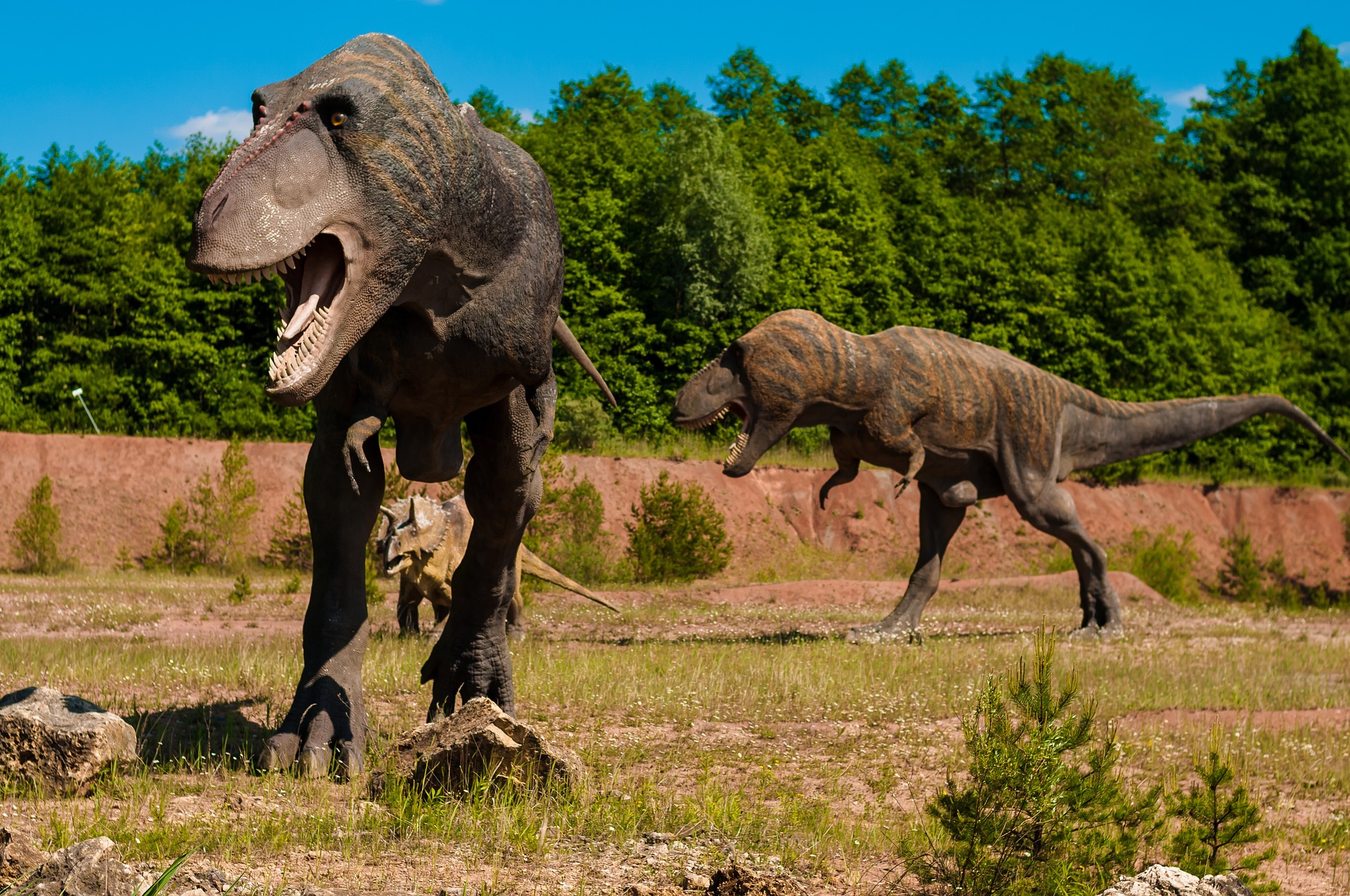 EXPOSITION DINOSAURES
