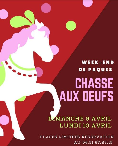 chasse aux oeufs chasse aux oeufs