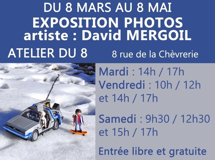 Expo Photo Playmobil