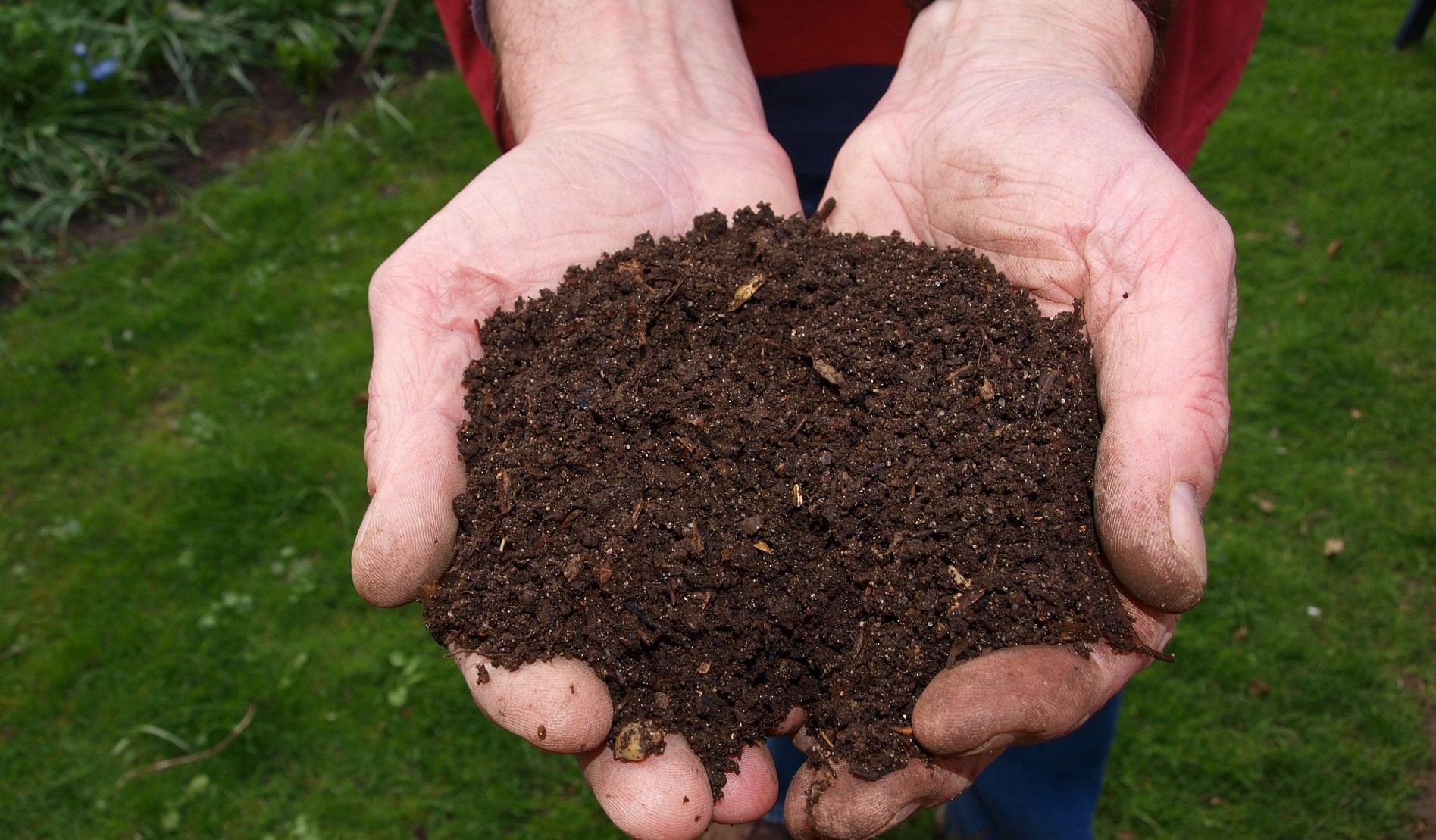eve_compost_pixabay eve_compost_pixabay