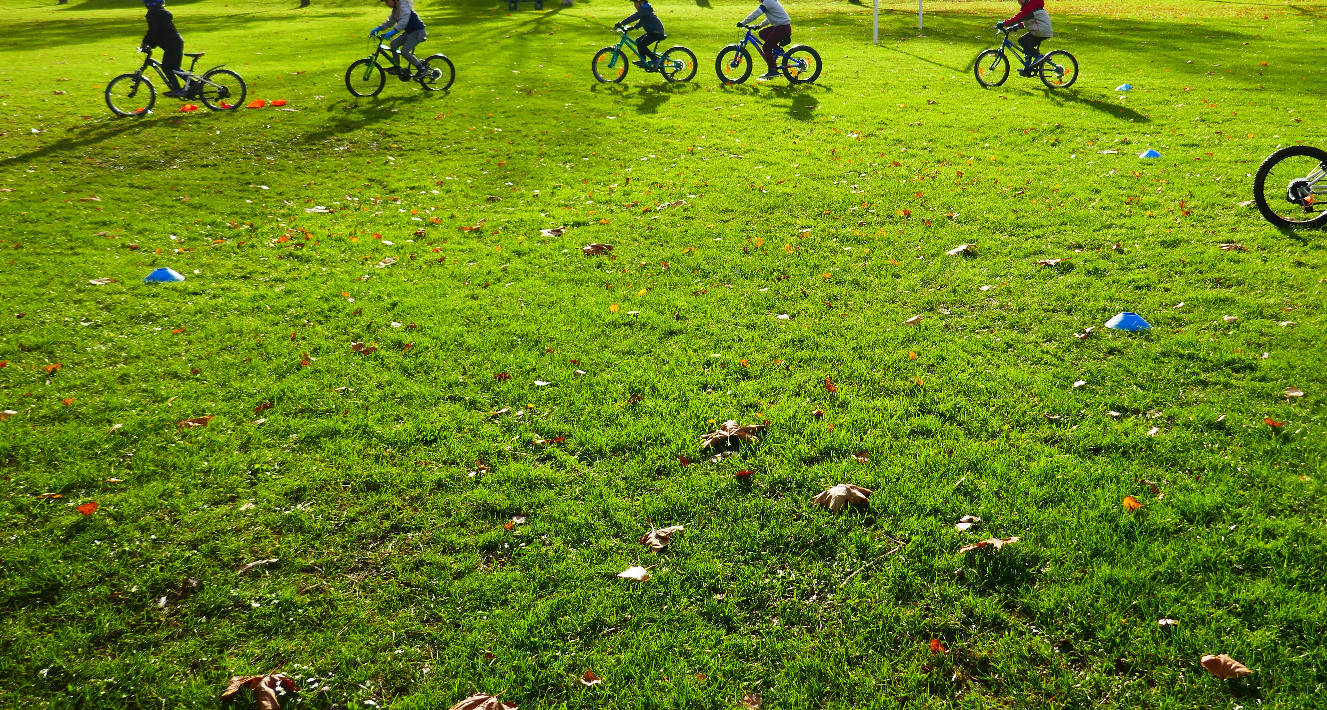 eve_stage vtt_bas en basset eve_stage vtt_bas en basset