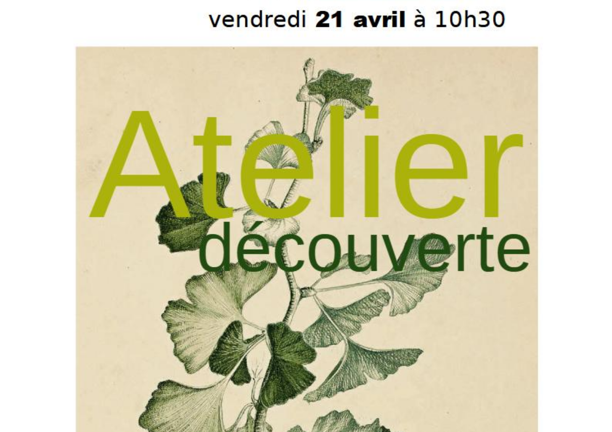 EVE_AtelierDécouverte EVE_AtelierDécouverte