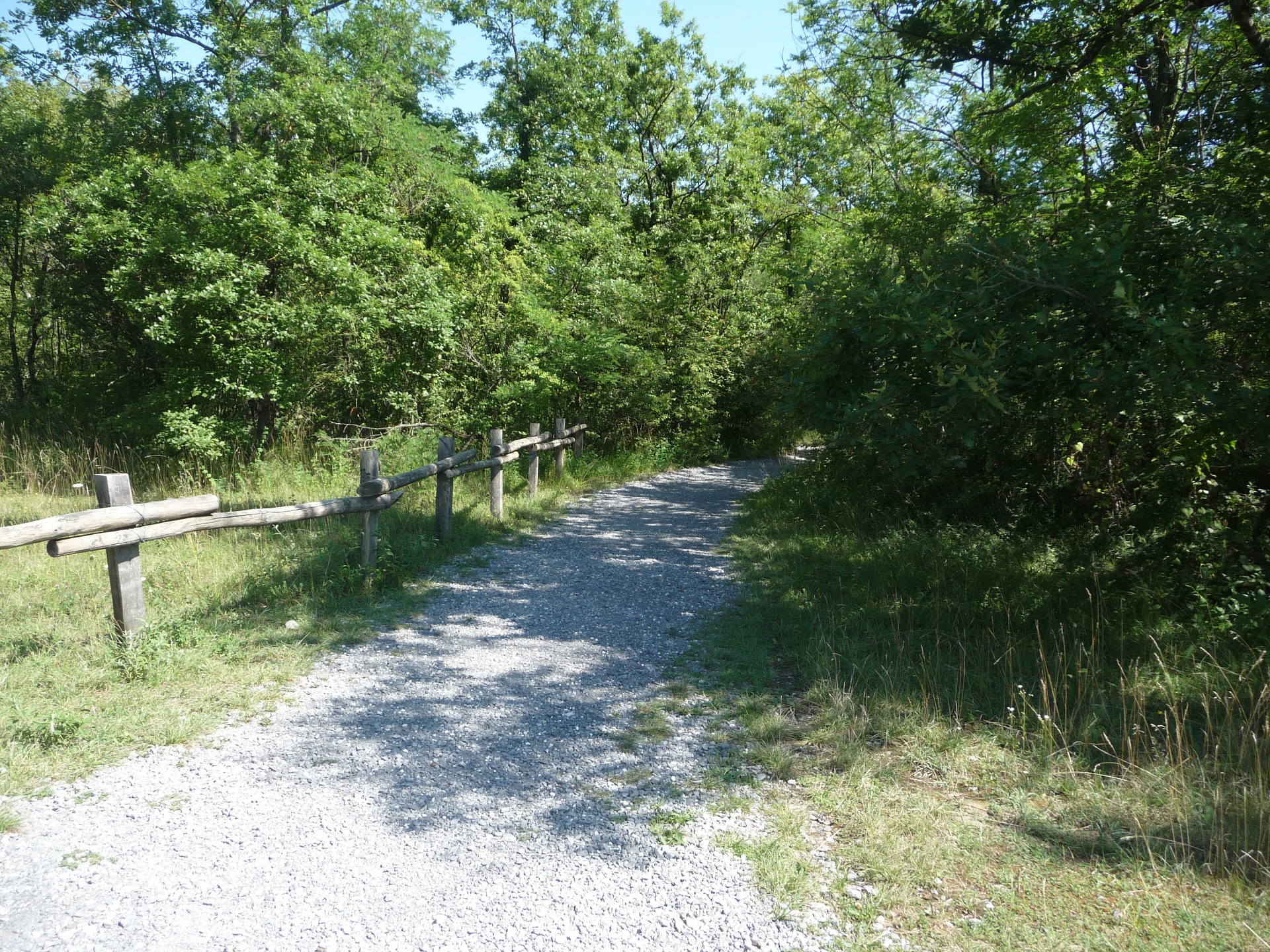 rando VTT