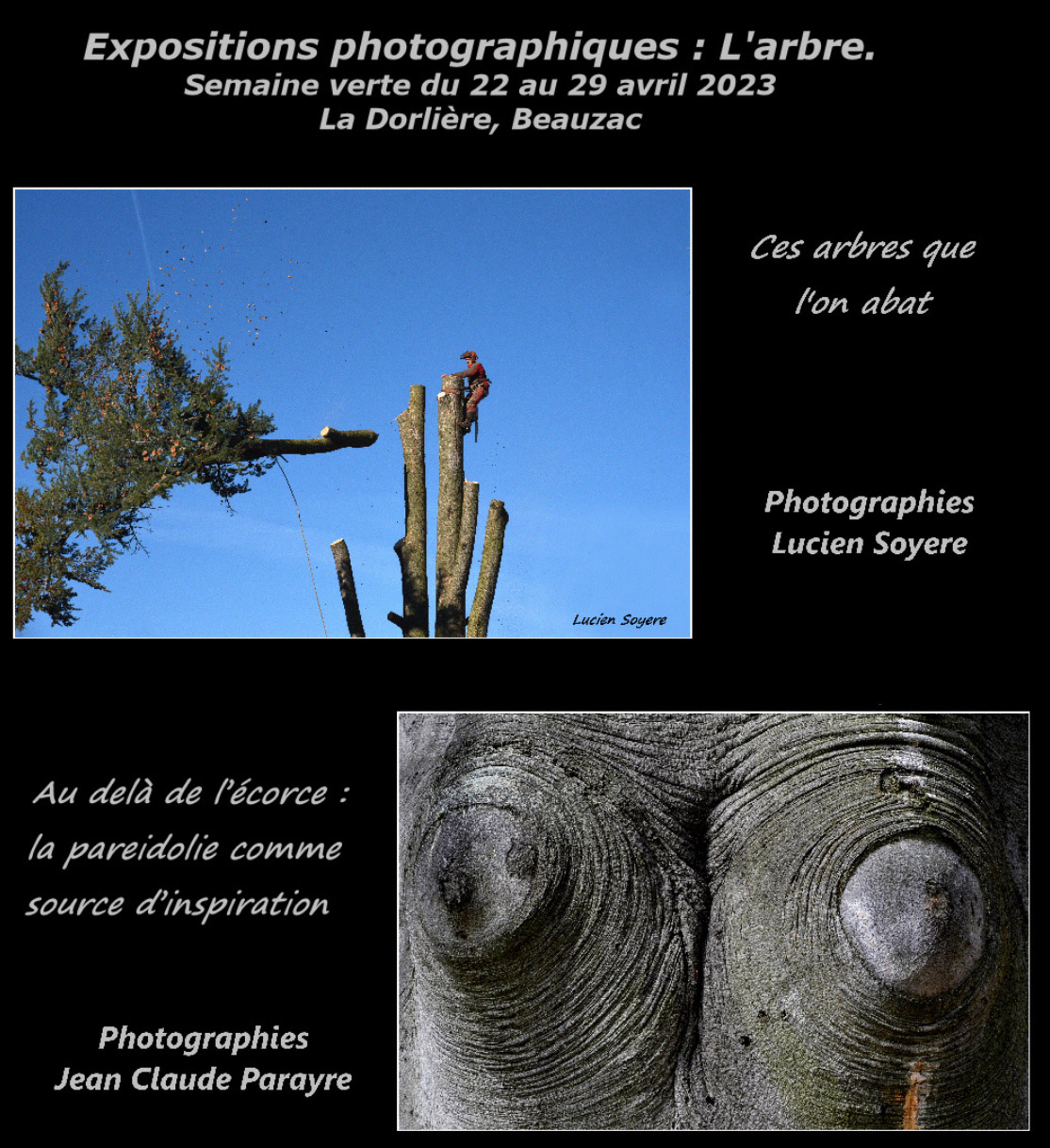 affiche