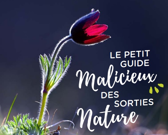 Sorties nature Sorties nature