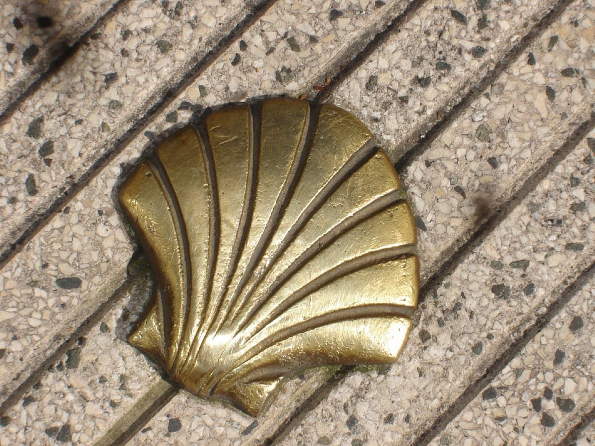 18253217.jpg