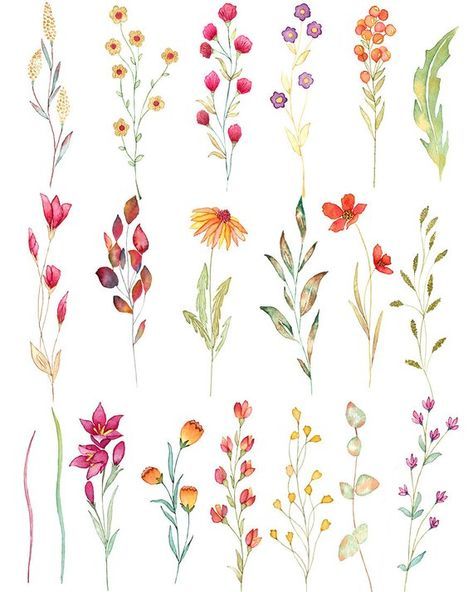 Visite du Jardin de Simples_Saint-Jeures