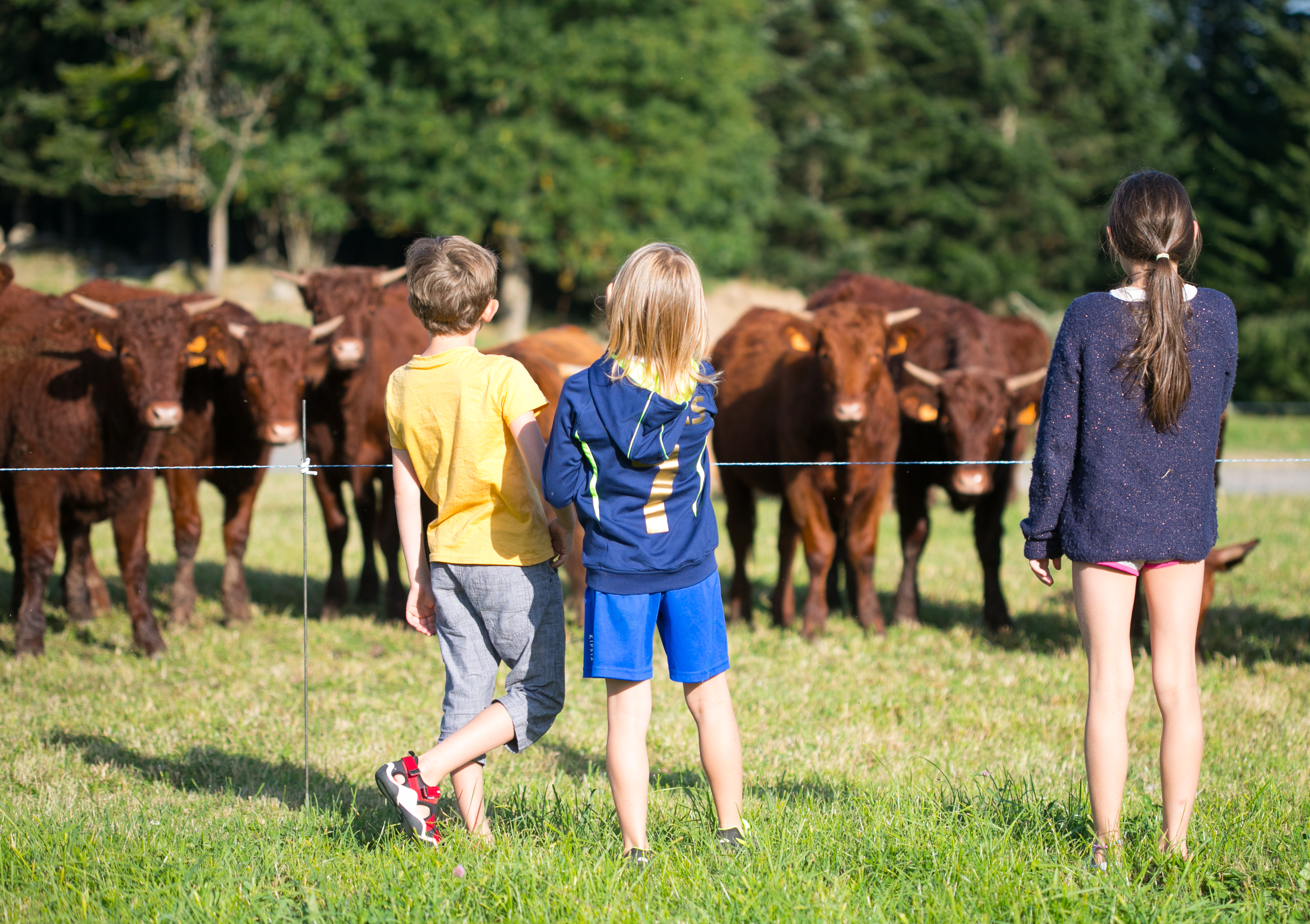 "Vis ma vie d'agriculteur"_Mazet-Saint-Voy