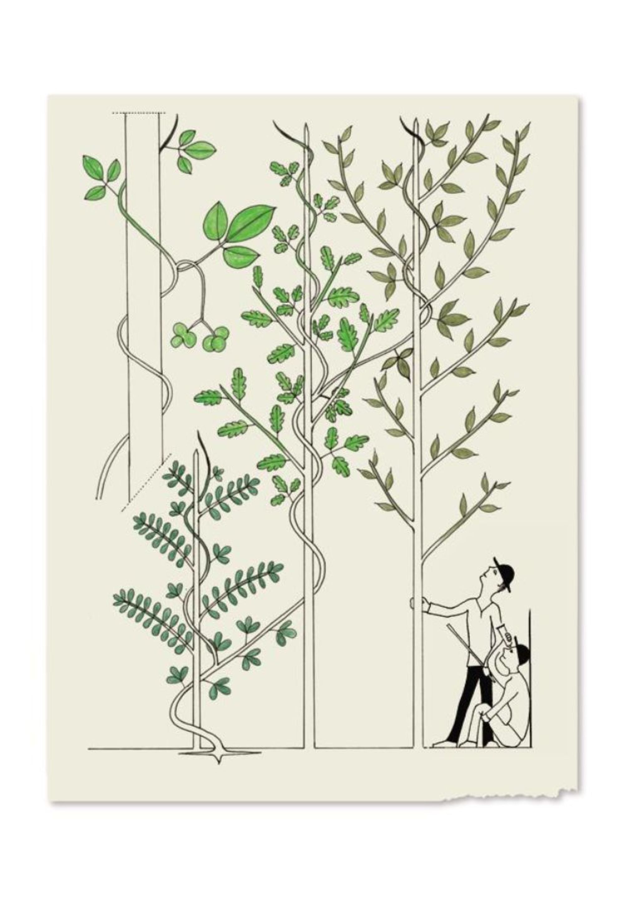 Des arbres à croquer | CBN_Chavaniac-Lafayette