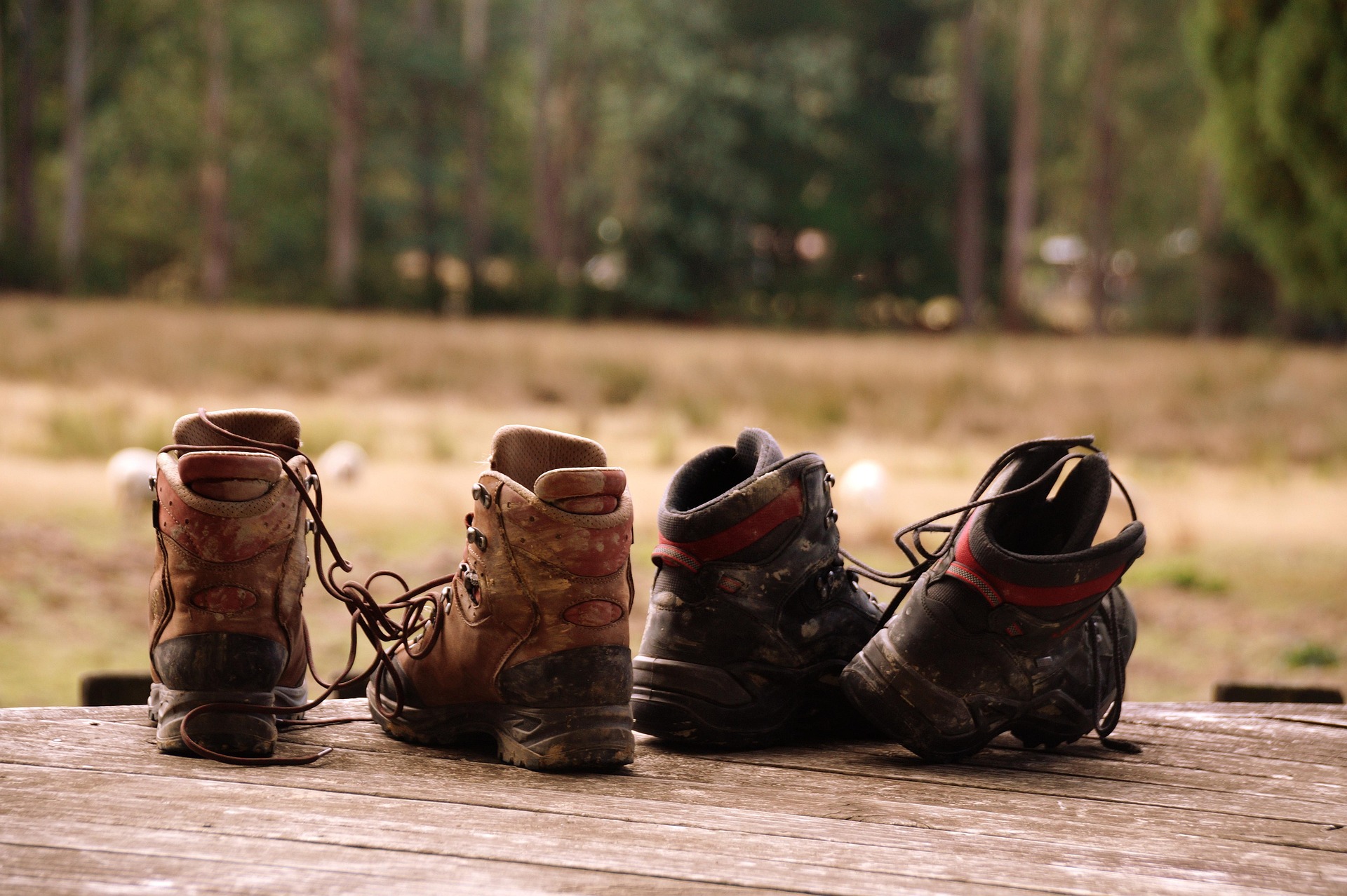 Rando/trail des rebelles en baskets_Grazac Rando/trail des rebelles en baskets_Grazac