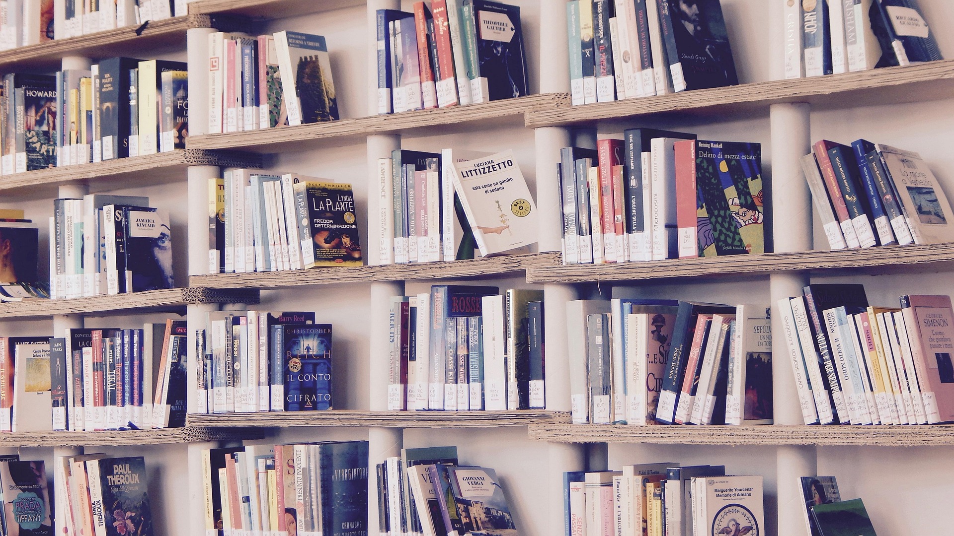 Vente de livres d'occasion_Yssingeaux