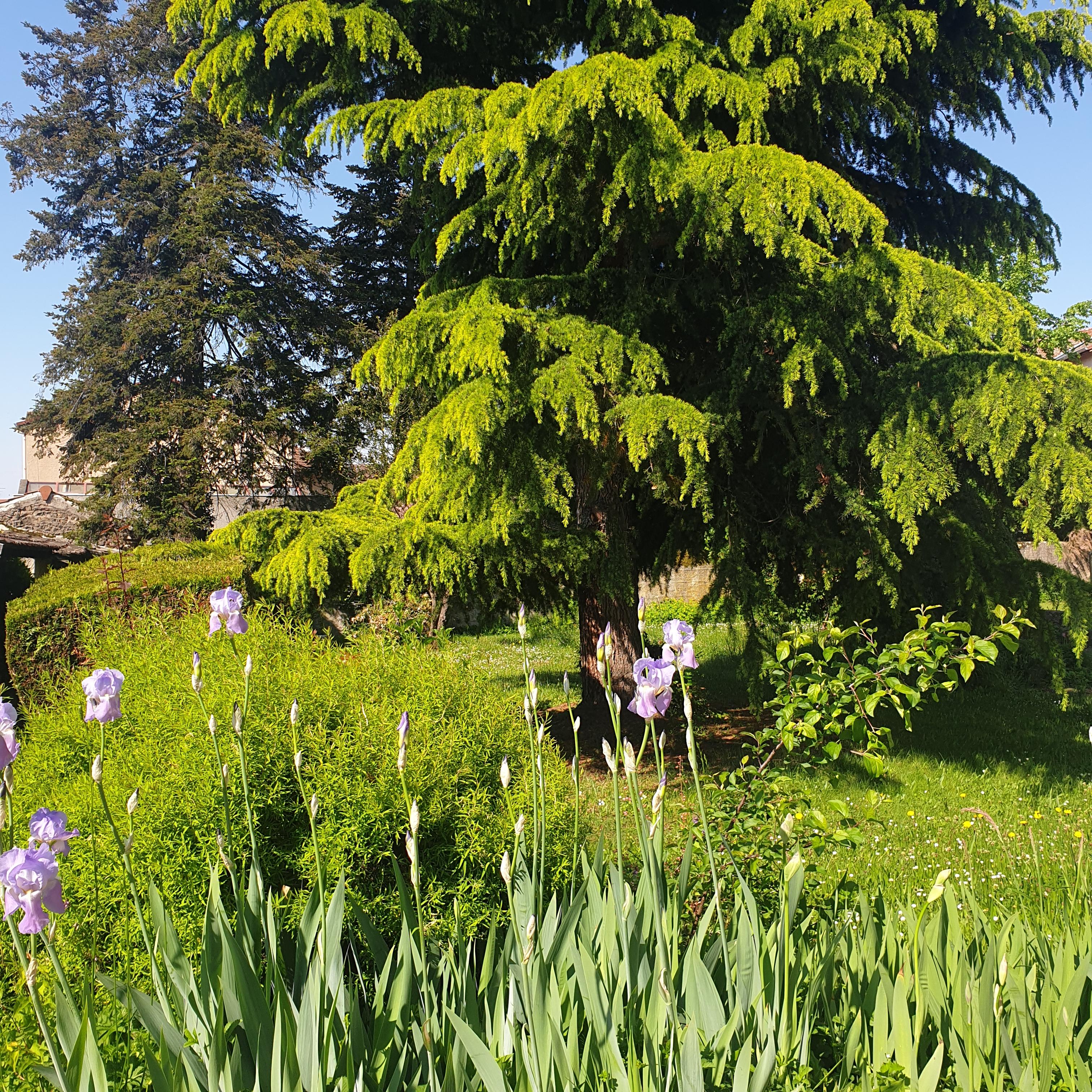 Visite du jardin du couvent des Sœurs Saint-Joseph_Monistrol-sur-Loire Visite du jardin du couvent des Sœurs Saint-Joseph_Monistrol-sur-Loire