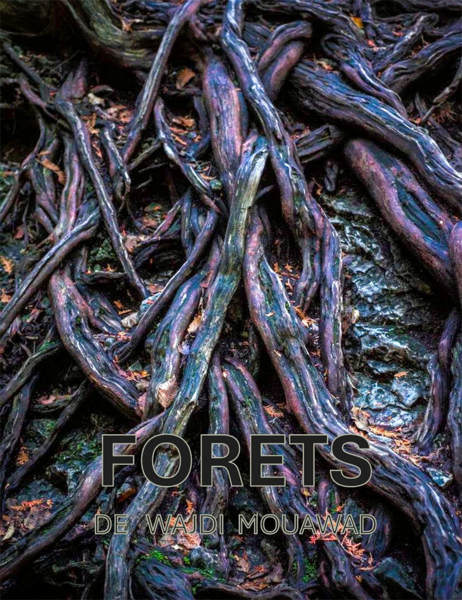 EVE_Forêts de Wajdi Mouawad_Rosières
