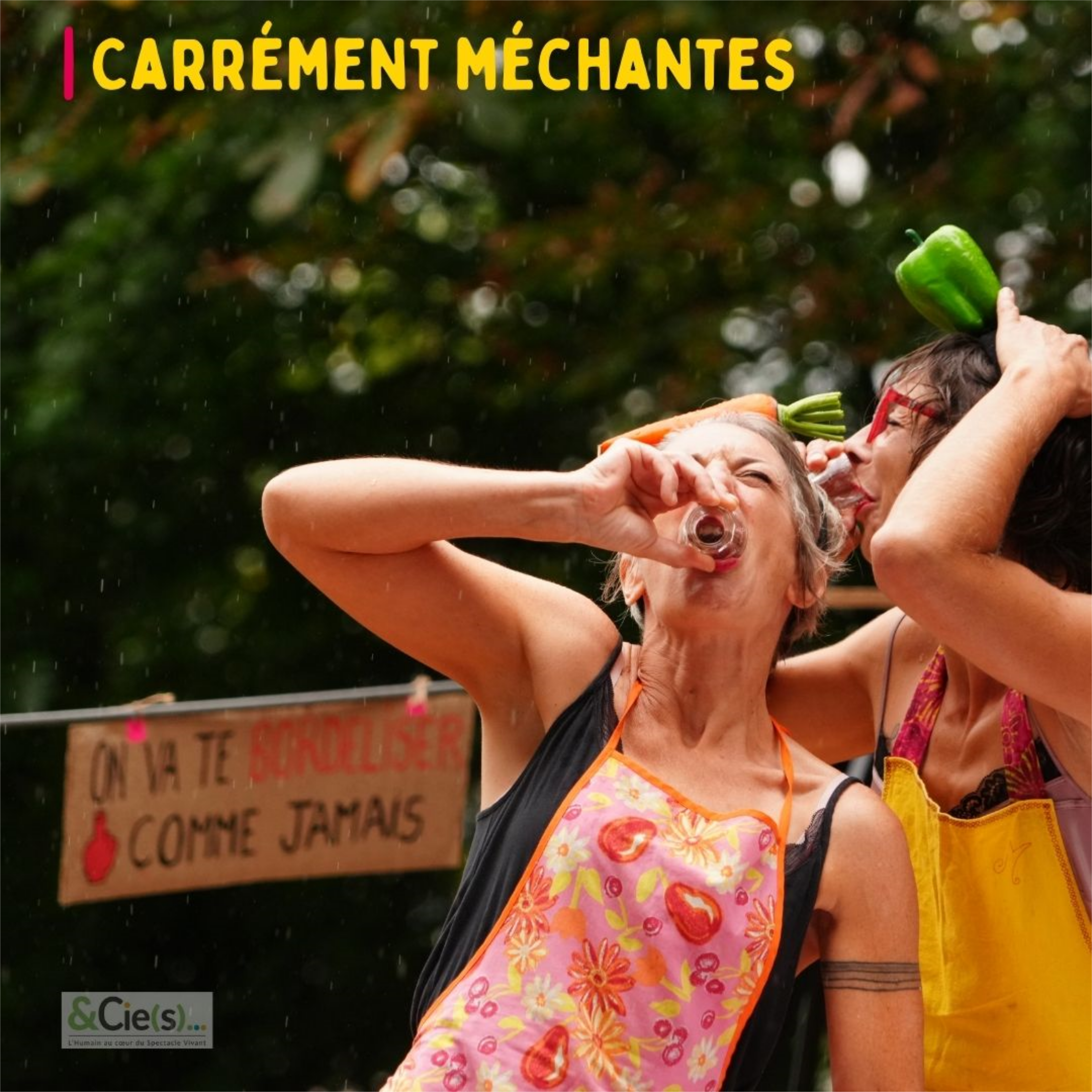 EVE_Carrément méchantes jamais contentes_Rosières
