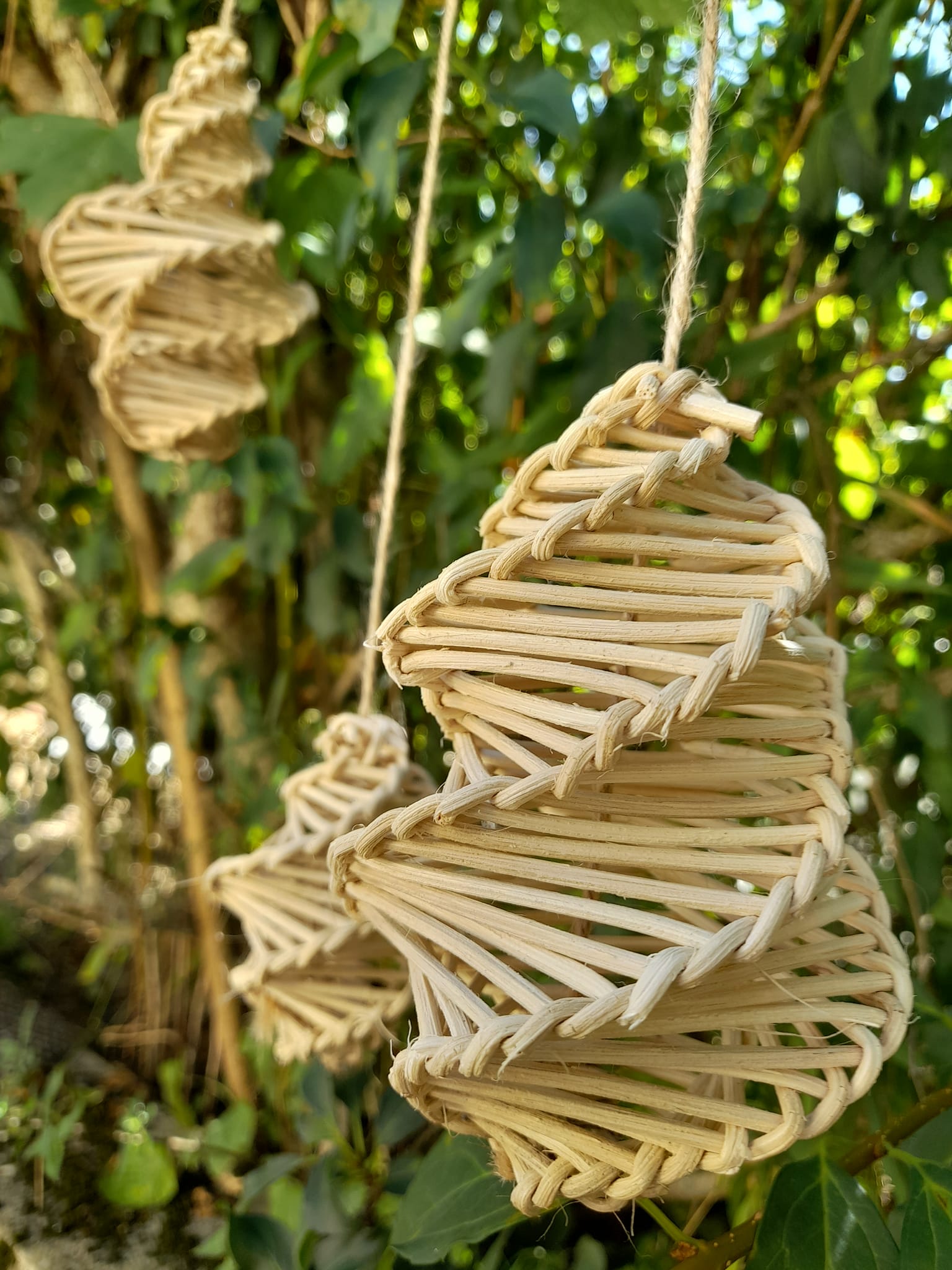 Balade découverte papillons, libellules, oiseaux et fabrication d’une déco nature_Sainte-Sigolène Balade découverte papillons, libellules, oiseaux et fabrication d’une déco nature_Sainte-Sigolène