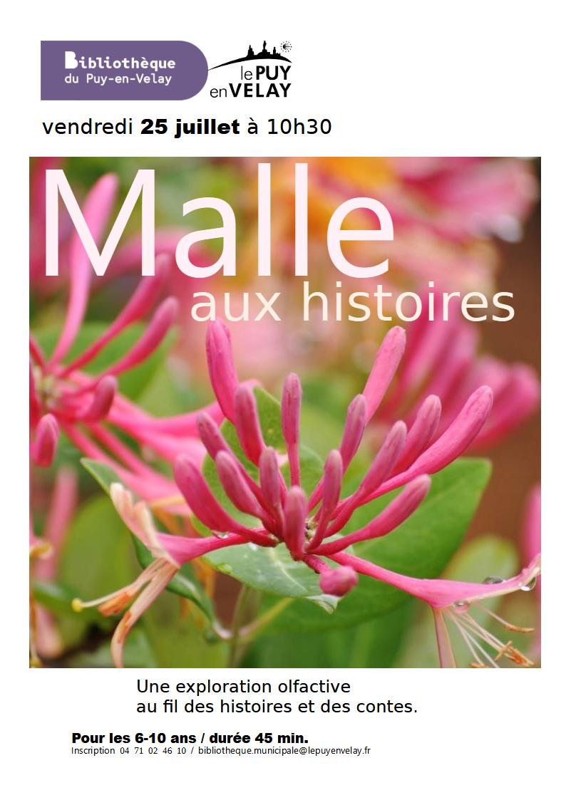 Bibliothèque du Puy : Malle aux histoires_Le Puy-en-Velay