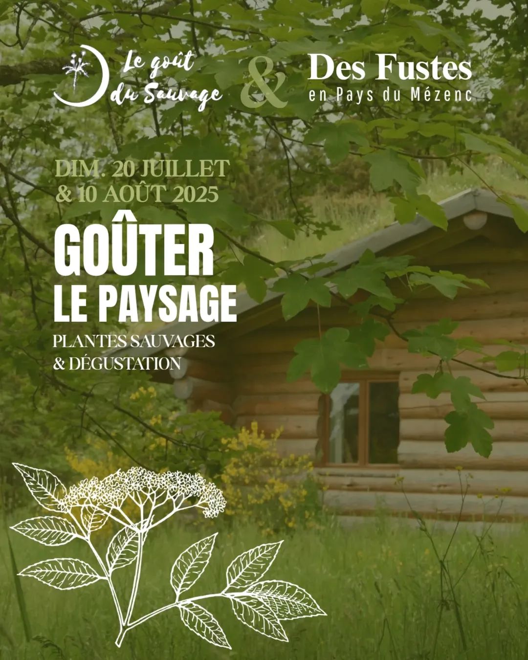 Goûter le paysage: plantes sauvages et dégustation_Fay-sur-Lignon Goûter le paysage: plantes sauvages et dégustation_Fay-sur-Lignon