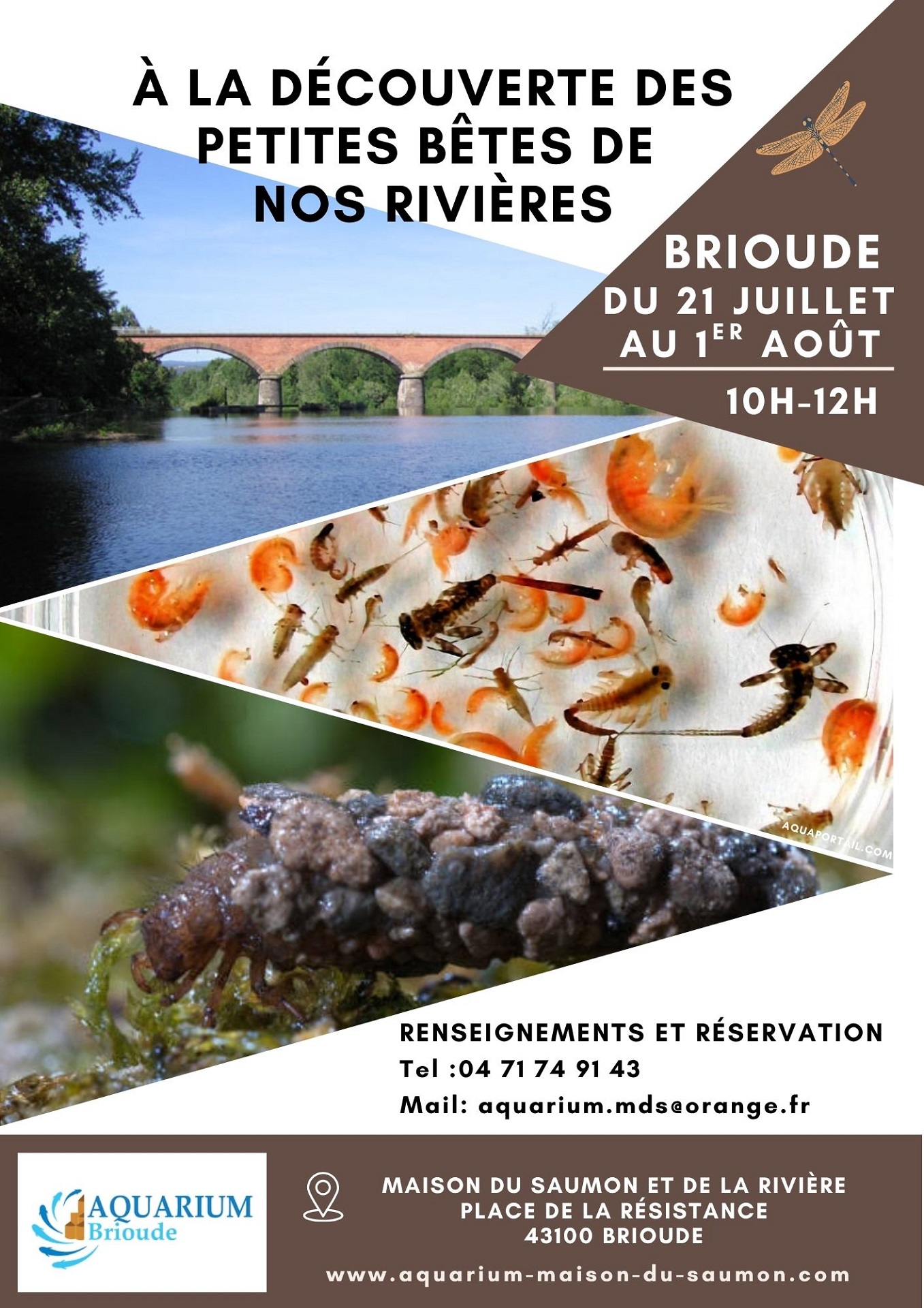 A la découverte des petites bêtes de nos rivières_Brioude