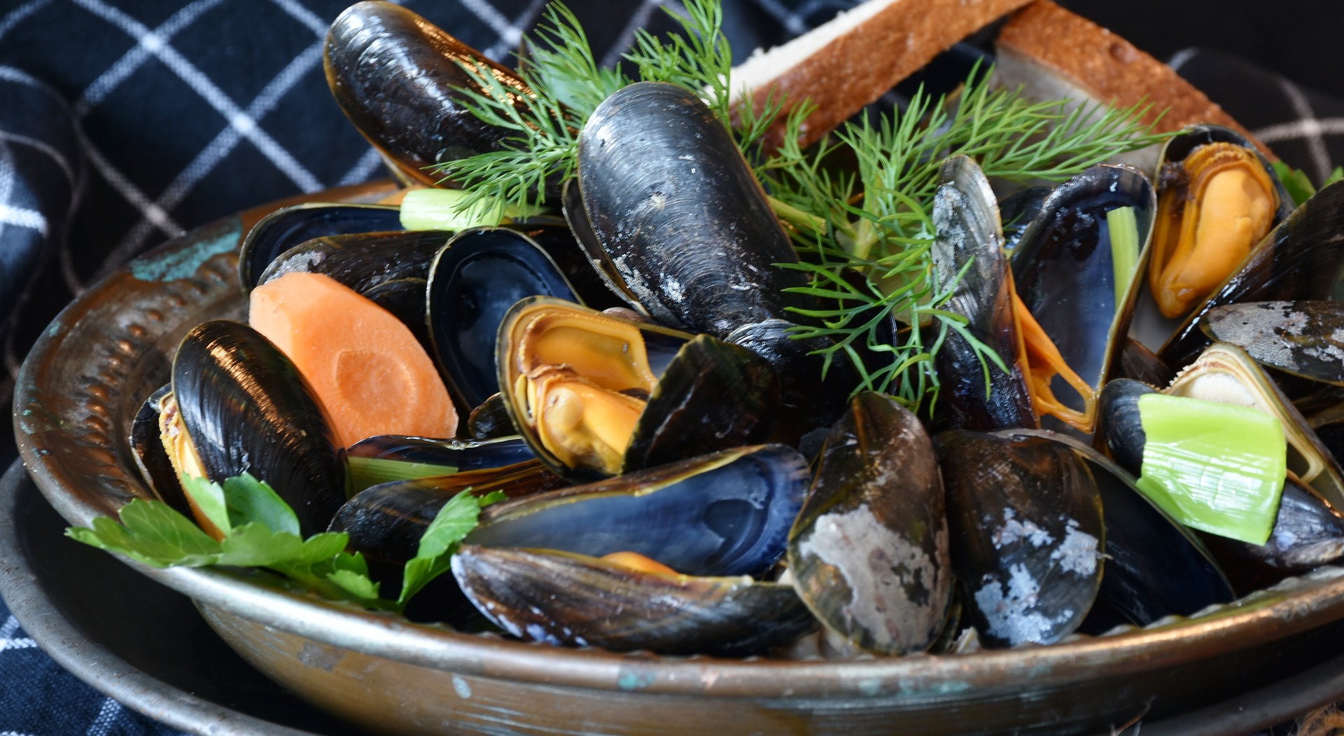 Soirée moules/frites_Sainte-Eugénie-de-Villeneuve